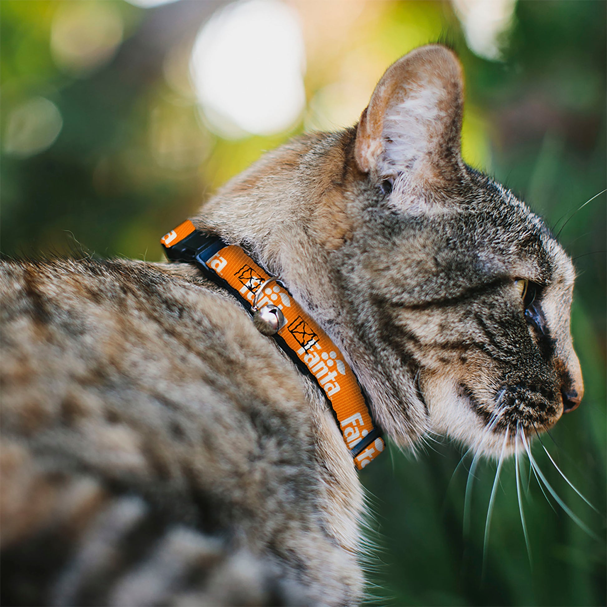 Breakaway Cat Collar with Bell - Vintage Orange FANTA Logo Orange/White Breakaway Cat Collars Coca-Cola