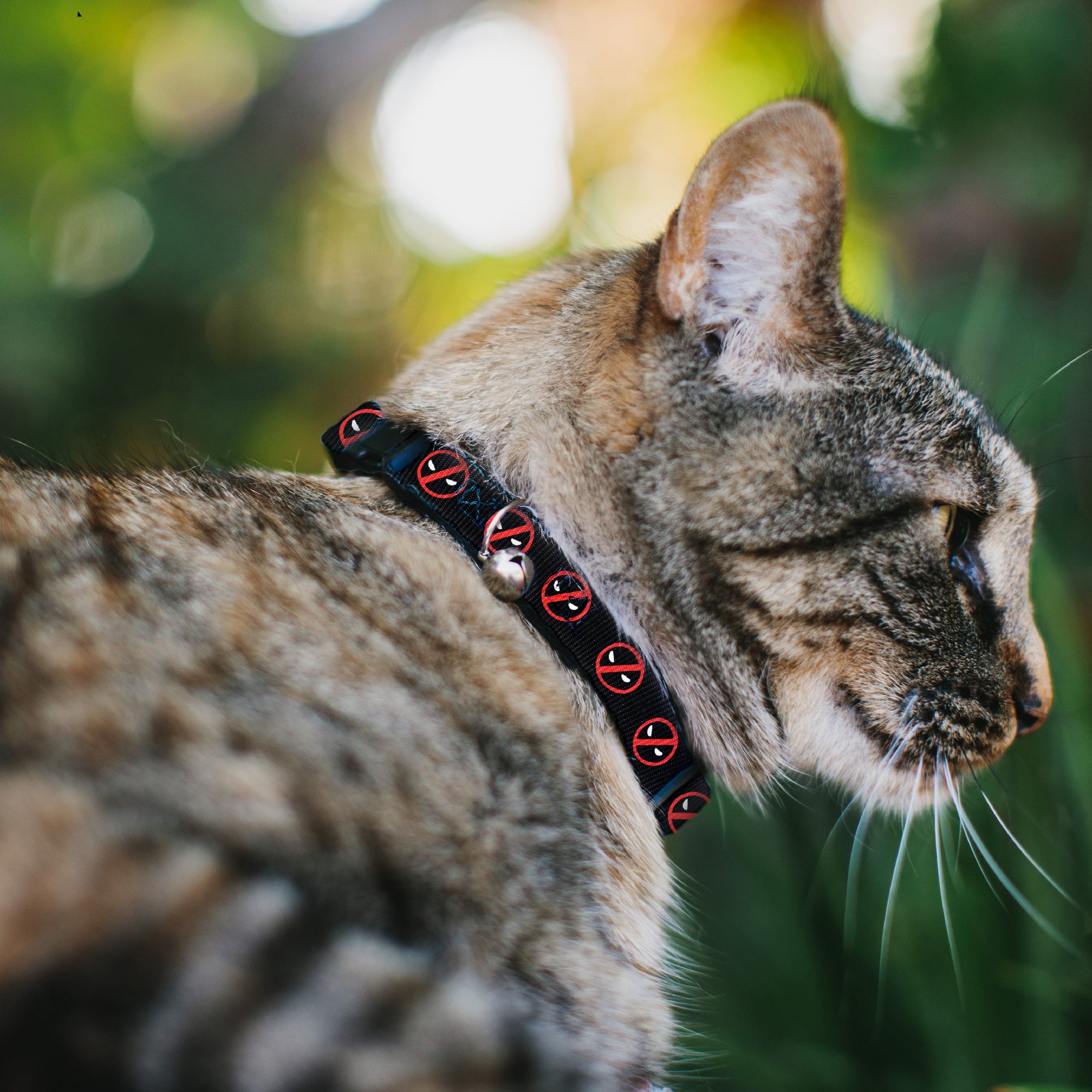 Breakaway Cat Collar with Bell - Deadpool Logo2 Black/Red/White Breakaway Cat Collars Marvel Comics   