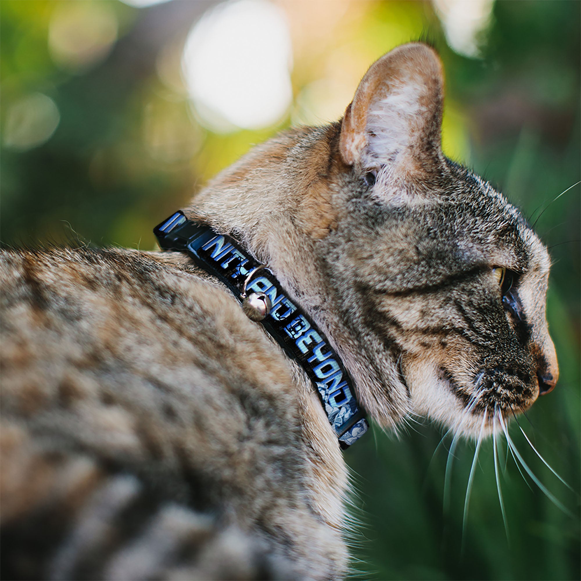 Cat Collar Breakaway - Buzz Poses Stars TO INFINITY AND BEYOND Black Blues Breakaway Cat Collars Disney