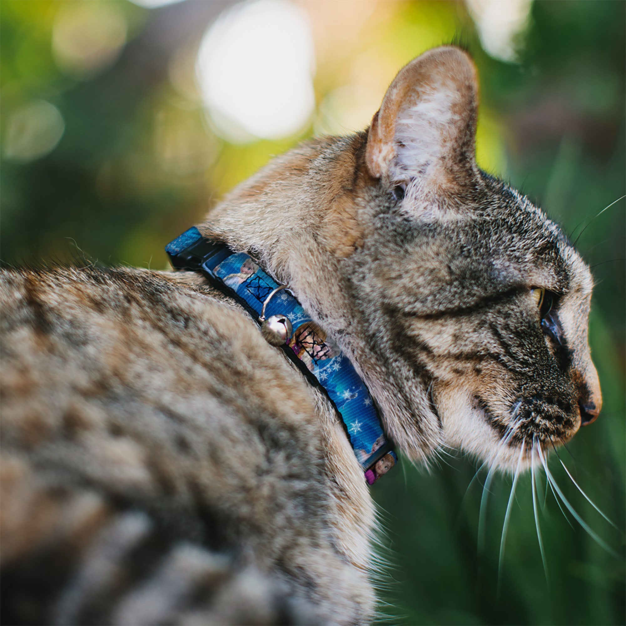 Cat Collar Breakaway - Anna & Elsa Poses Castle & Mountains Blues Breakaway Cat Collars Disney