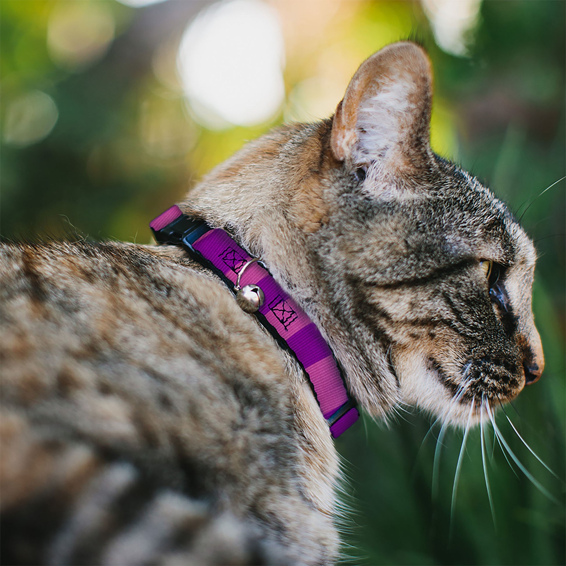 Cat Collar Breakaway - Cheshire Cat Stripe Pink Purple Breakaway Cat Collars Disney