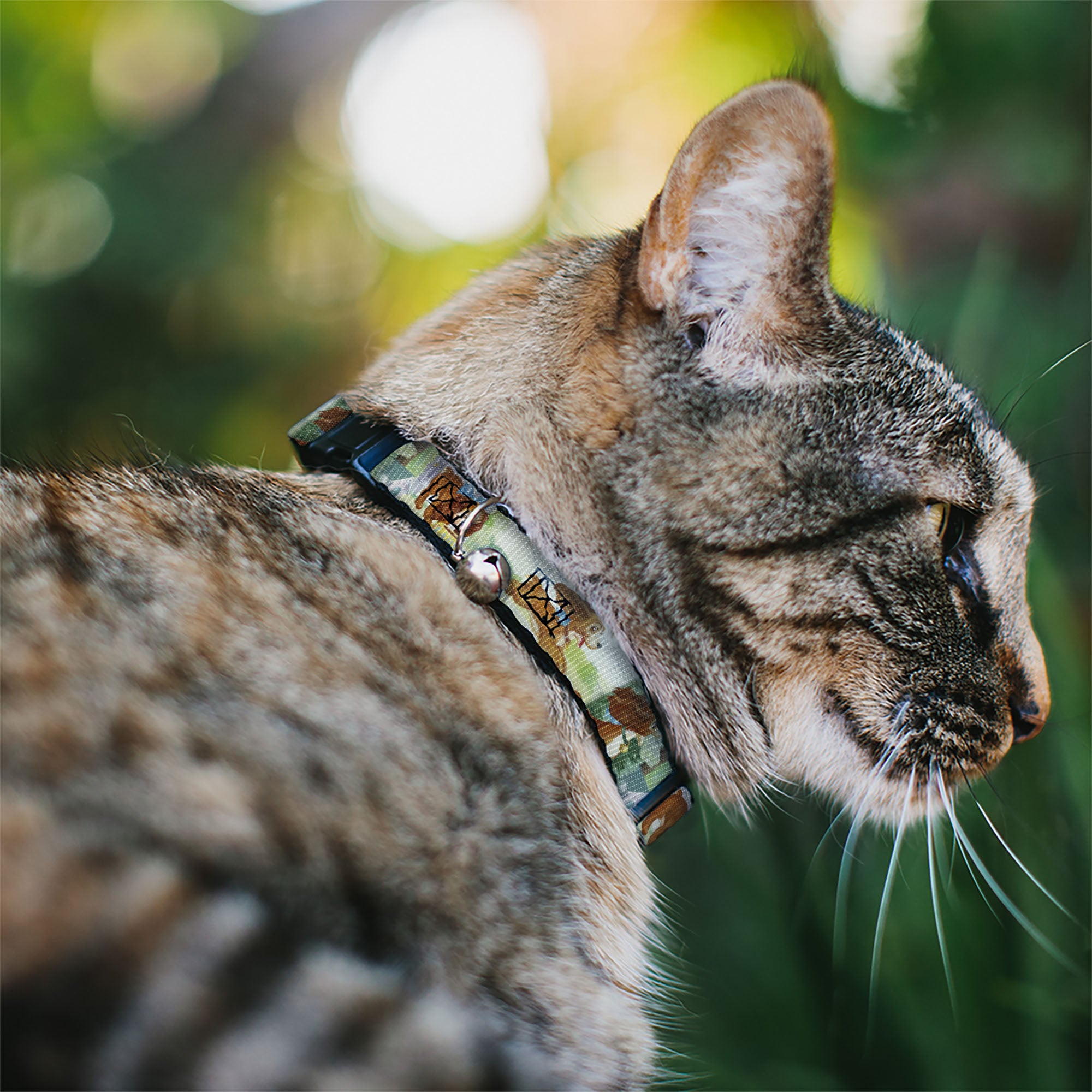 Cat Collar Breakaway - Lady 3-Scene Poses Breakaway Cat Collars Disney