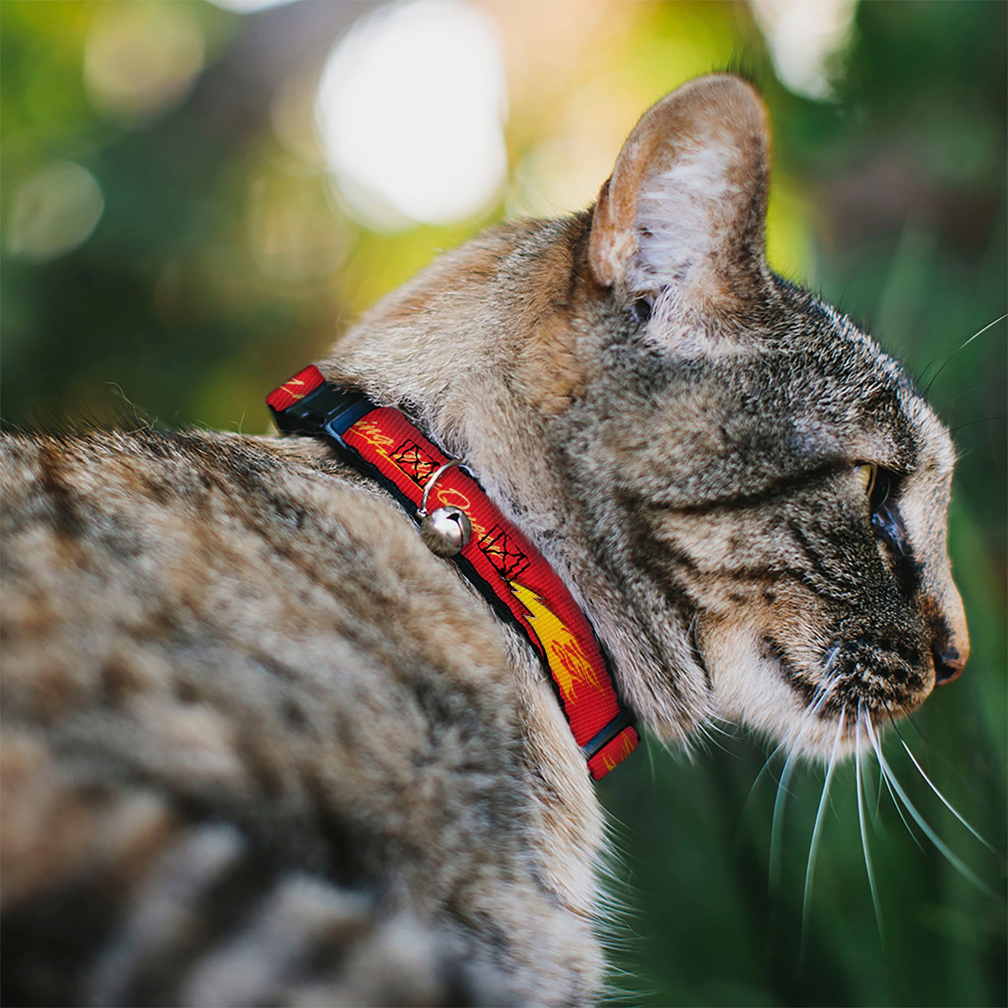 Breakaway Cat Collar with Bell - Cars LIGHTNING MC QUEEN Text with Bolt Flames Red/Yellows Breakaway Cat Collars Disney
