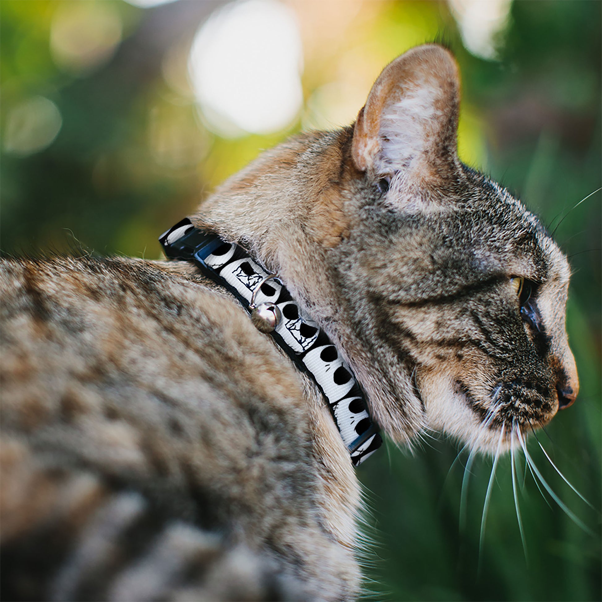 Cat Collar Breakaway - Nightmare Before Christmas 7-Jack Expressions CLOSE-UP Black White Breakaway Cat Collars Disney