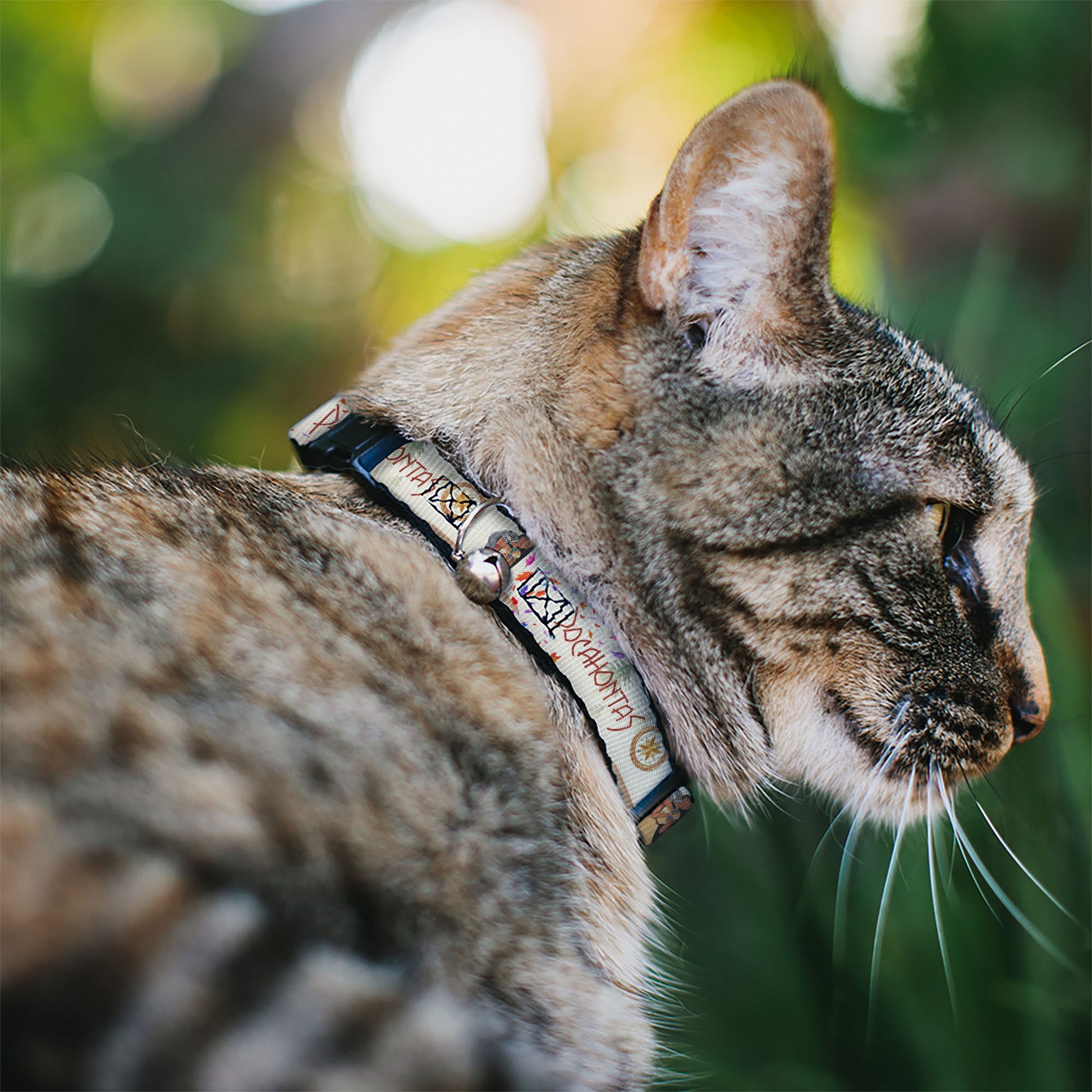Cat Collar Breakaway with Bell - Pocahontas and Meeko Compass Pose with Script and Leaves Beige - NARROW Fits 8.5-12" Breakaway Cat Collars Disney