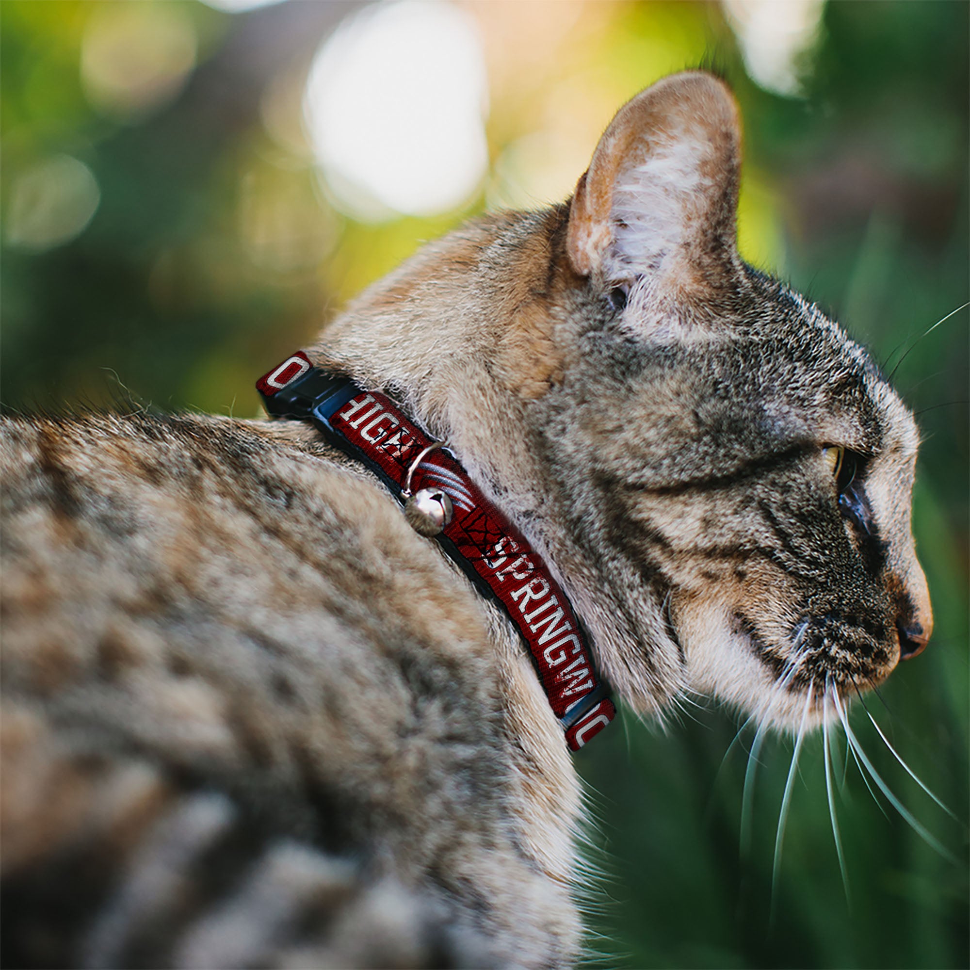 Cat Collar Breakaway - A NIGHTMARE ON ELM STREET SPRINGWOOD Freddy Pose Black Red White Breakaway Cat Collars A Nightmare on Elm Street