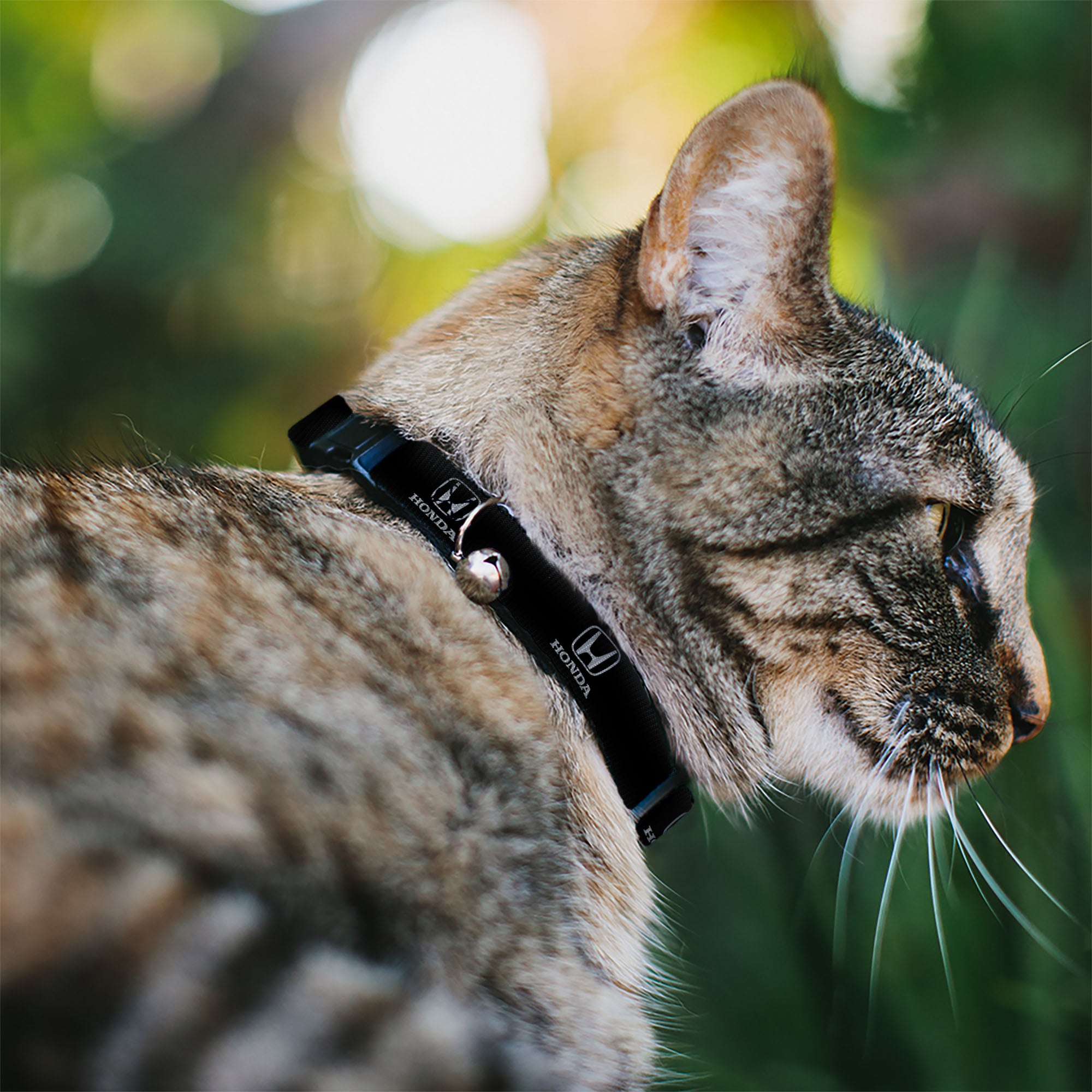 Breakaway Cat Collar with Bell - Honda Logo Black/Silver Breakaway Cat Collars Honda