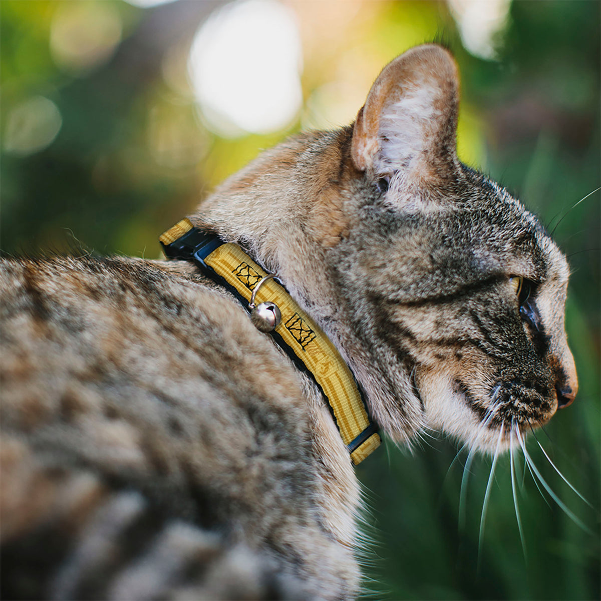 Breakaway Cat Collar with Bell - Harry Potter Hufflepuff House Champion Icons Stripe Yellows Breakaway Cat Collars Harry Potter