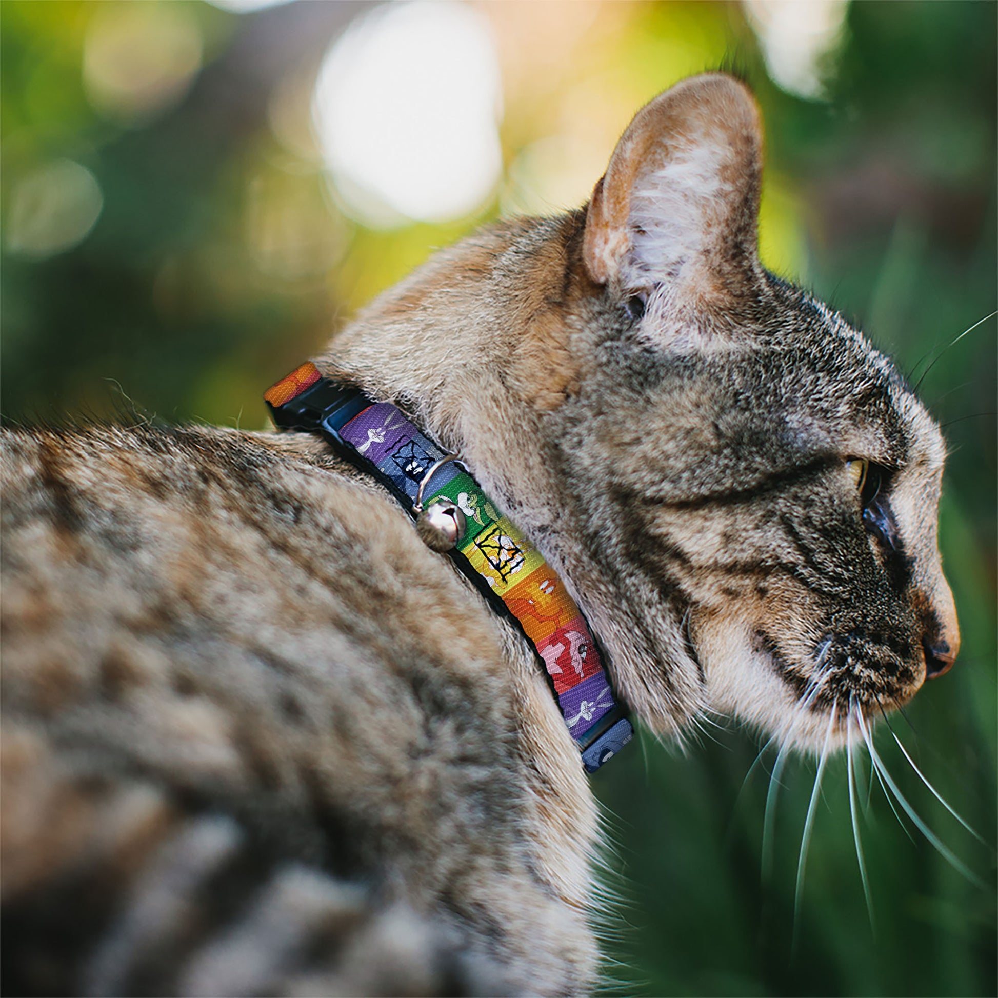 Cat Collar Breakaway with Bell - Looney Tunes 6-Character Pose Pride Blocks Multi Color Breakaway Cat Collars Looney Tunes