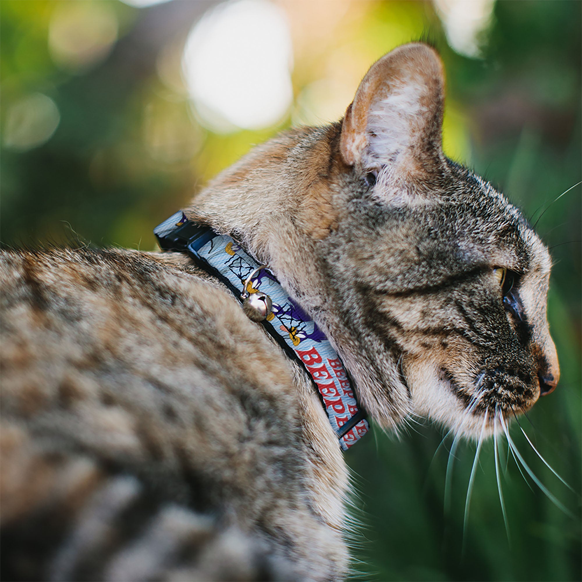 Breakaway Cat Collar with Bell - MEEP MEEP!! w/Road Runner Poses Baby Blue Breakaway Cat Collars Looney Tunes
