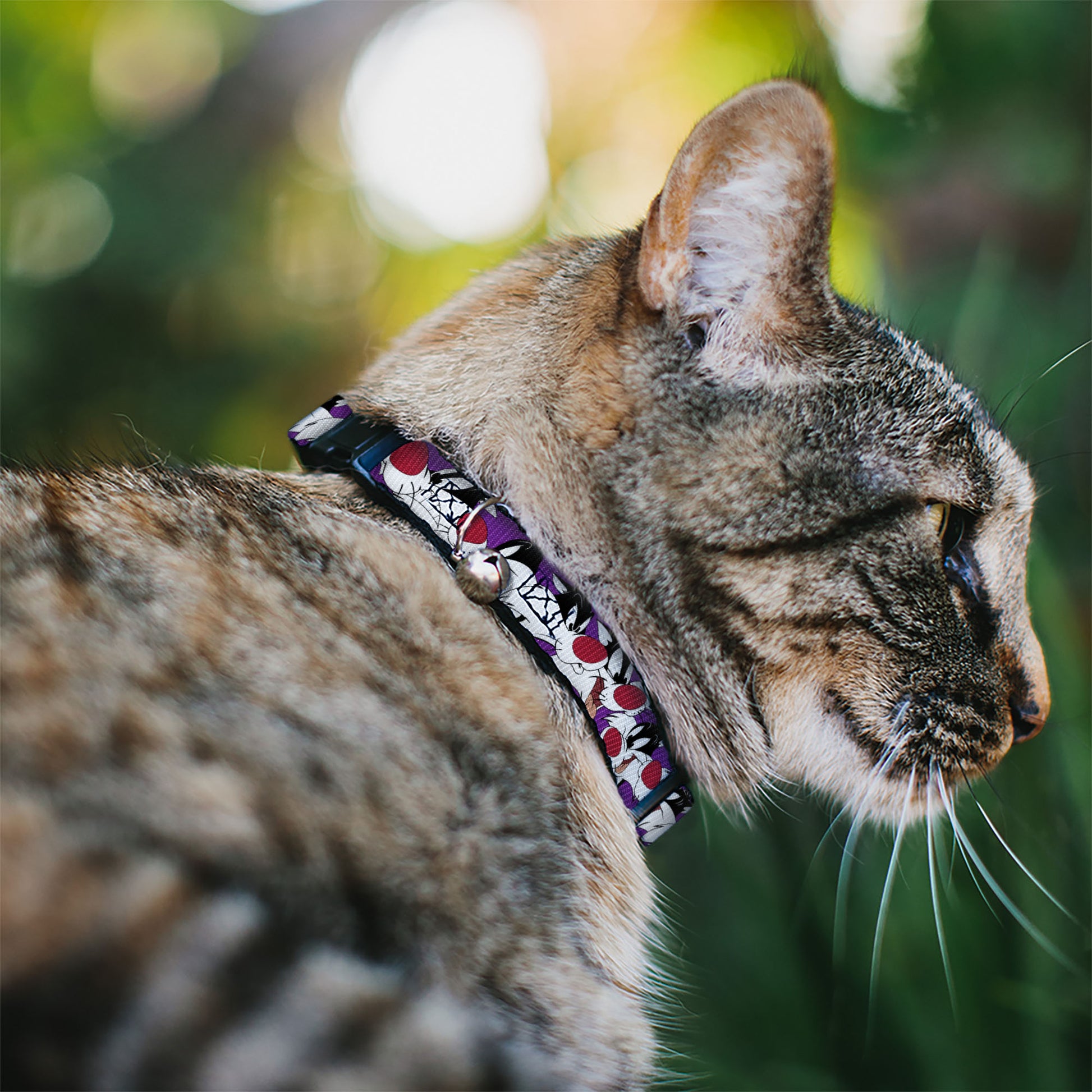 Cat Collar Breakaway - Sylvester the Cat Expressions Purple Breakaway Cat Collars Looney Tunes