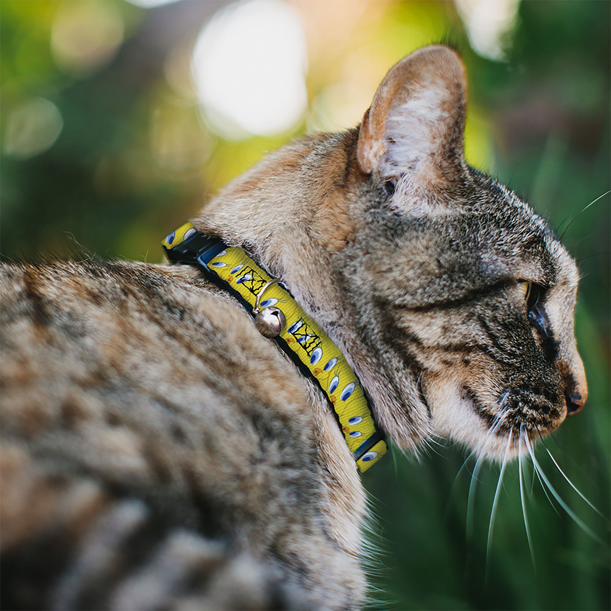 Cat Collar Breakaway with Bell - Tweety Bird Expressions Yellow Breakaway Cat Collars Looney Tunes