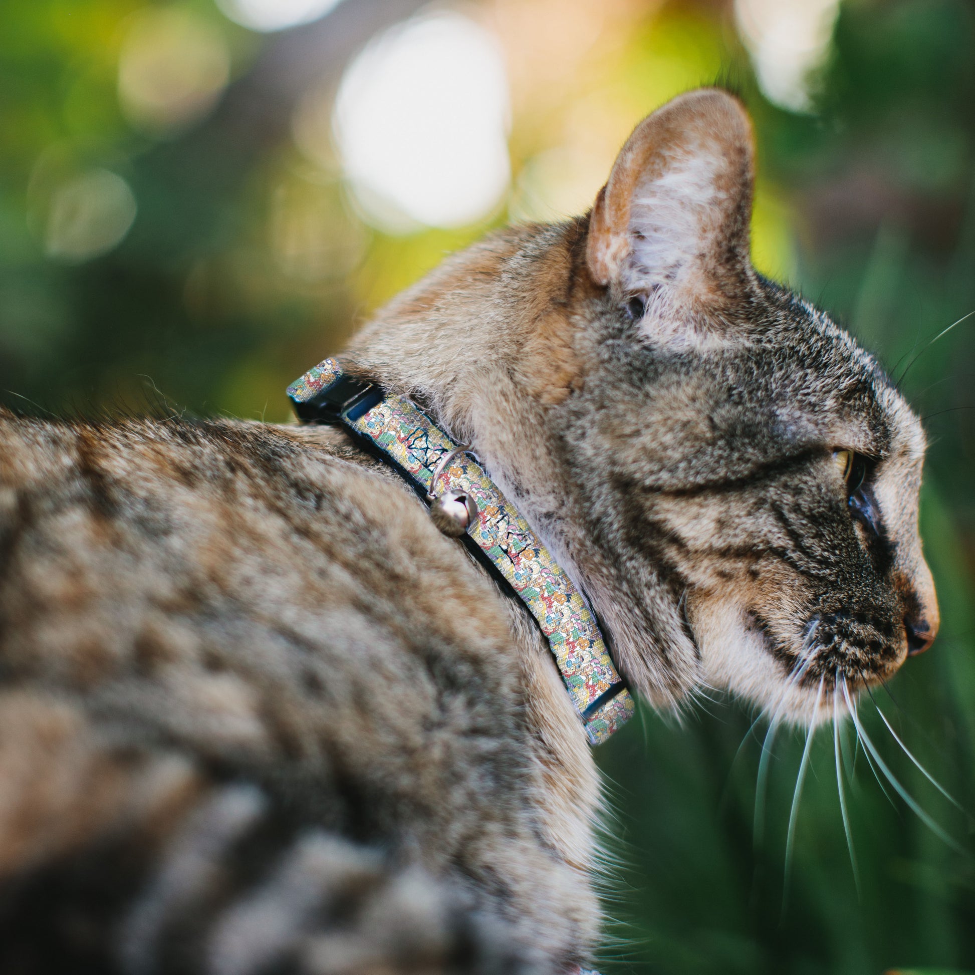 Cat Collar Breakaway with Bell - Nick 90's Rewind 8-Character Mash Up Collage White Breakaway Cat Collars Nick 90s