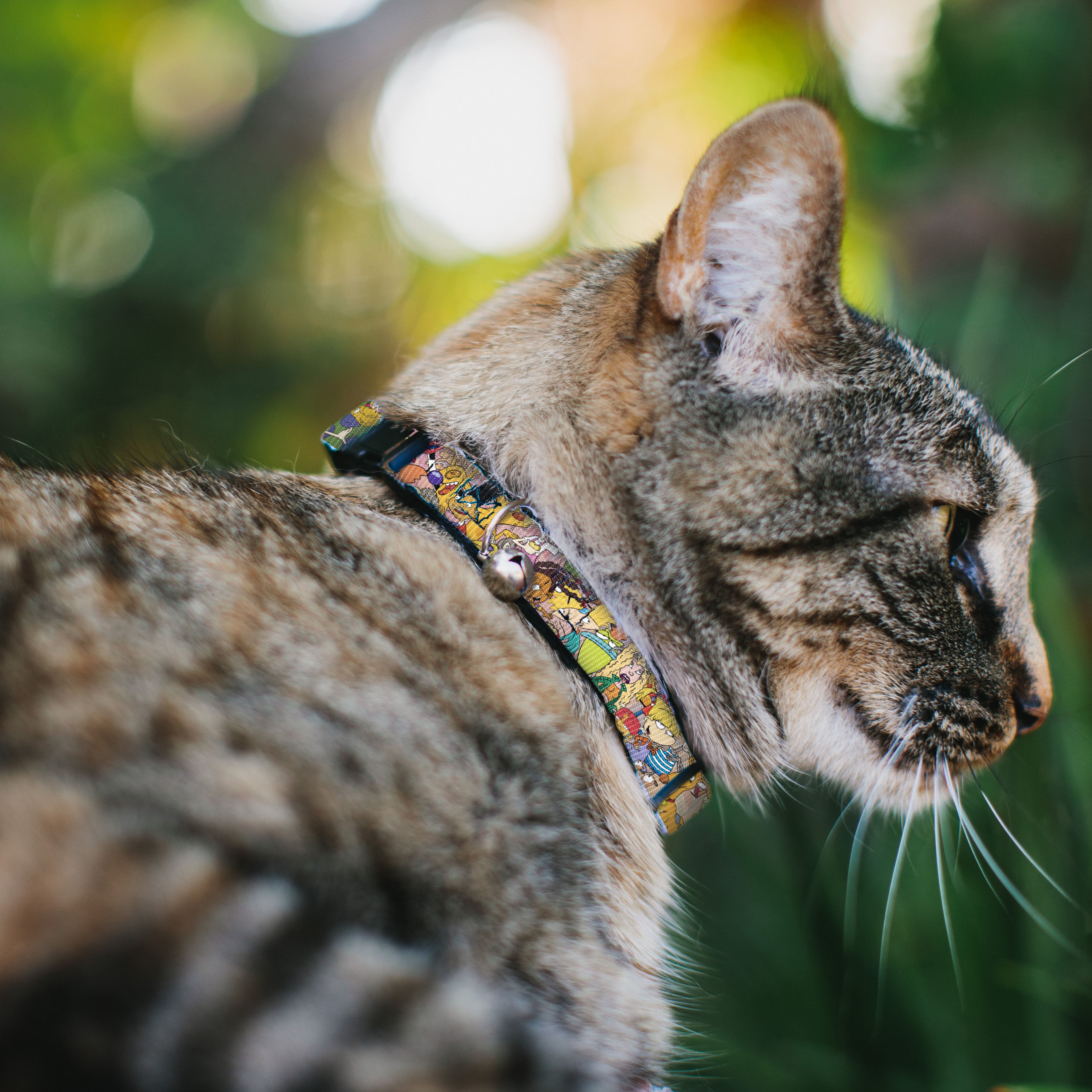 Cat Collar Breakaway with Bell - Nick 90's Rewind Character Mash Up Collage2 Pinks Breakaway Cat Collars Nick 90s
