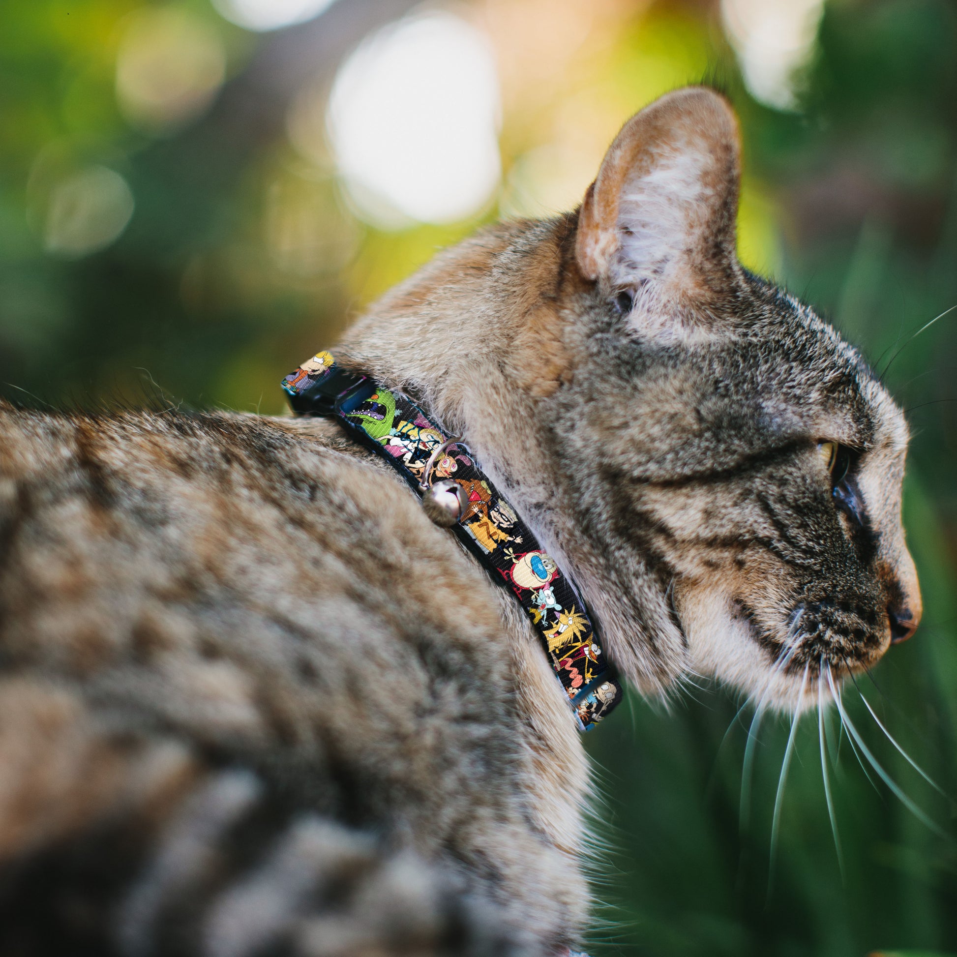 Cat Collar Breakaway with Bell - Nick 90's 13-Character Poses Black Breakaway Cat Collars Nick 90s