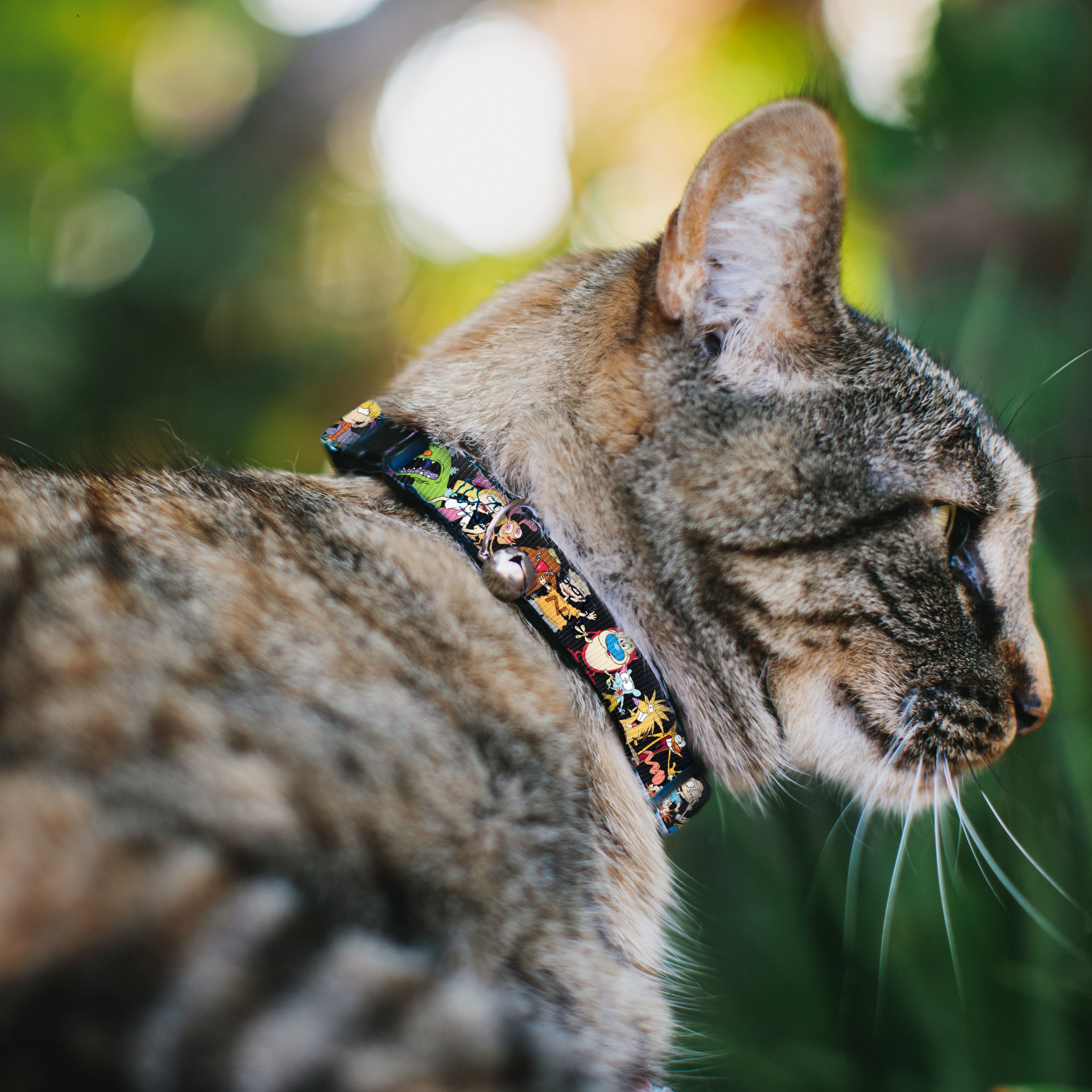 Cat Collar Breakaway with Bell - Nick 90's 13-Character Poses Black Breakaway Cat Collars Nick 90s