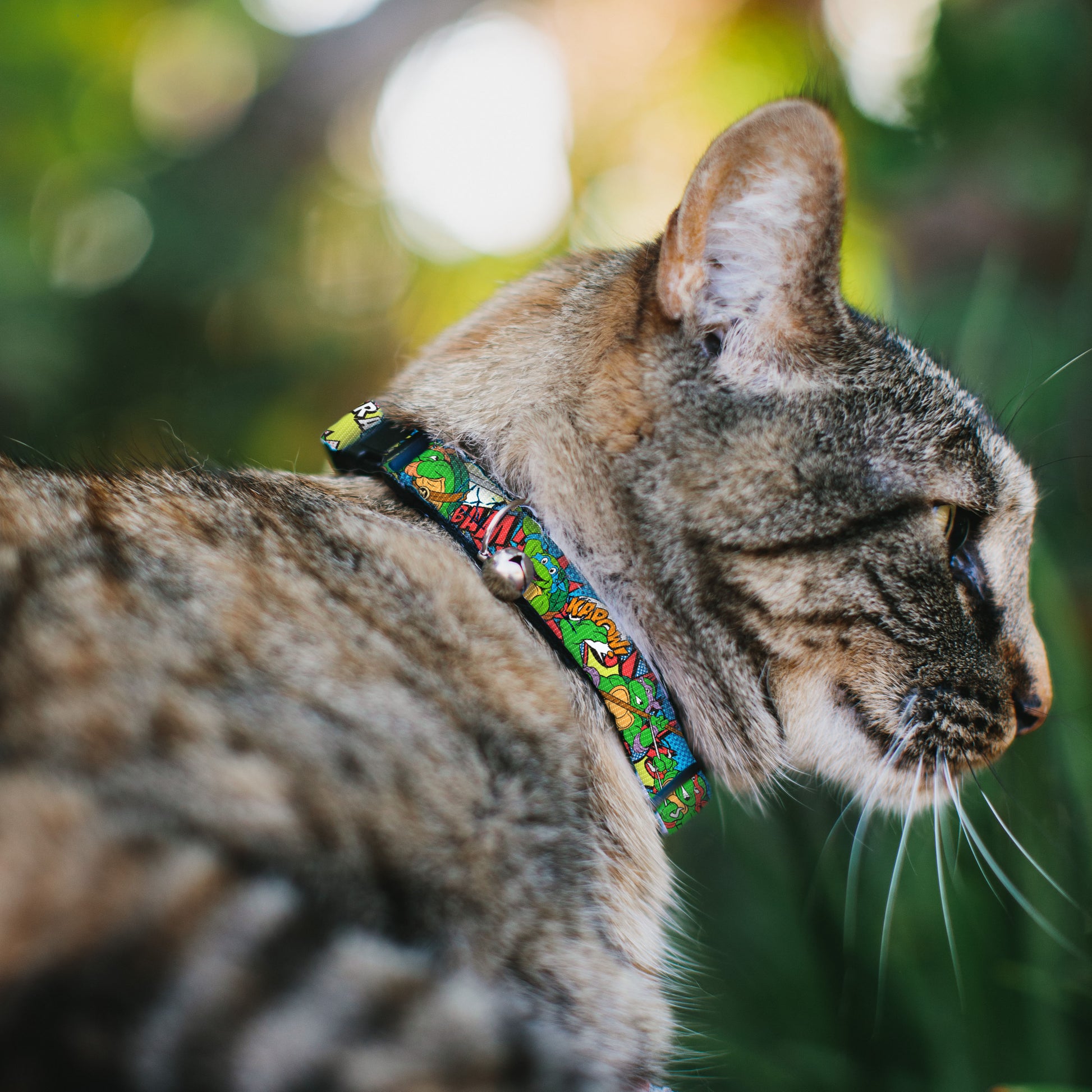 Cat Collar Breakaway with Bell - Classic Teenage Mutant Ninja Turtles Action Poses Action Bubbles Dots Blues Breakaway Cat Collars Teenage Mutant Ninja Turtles