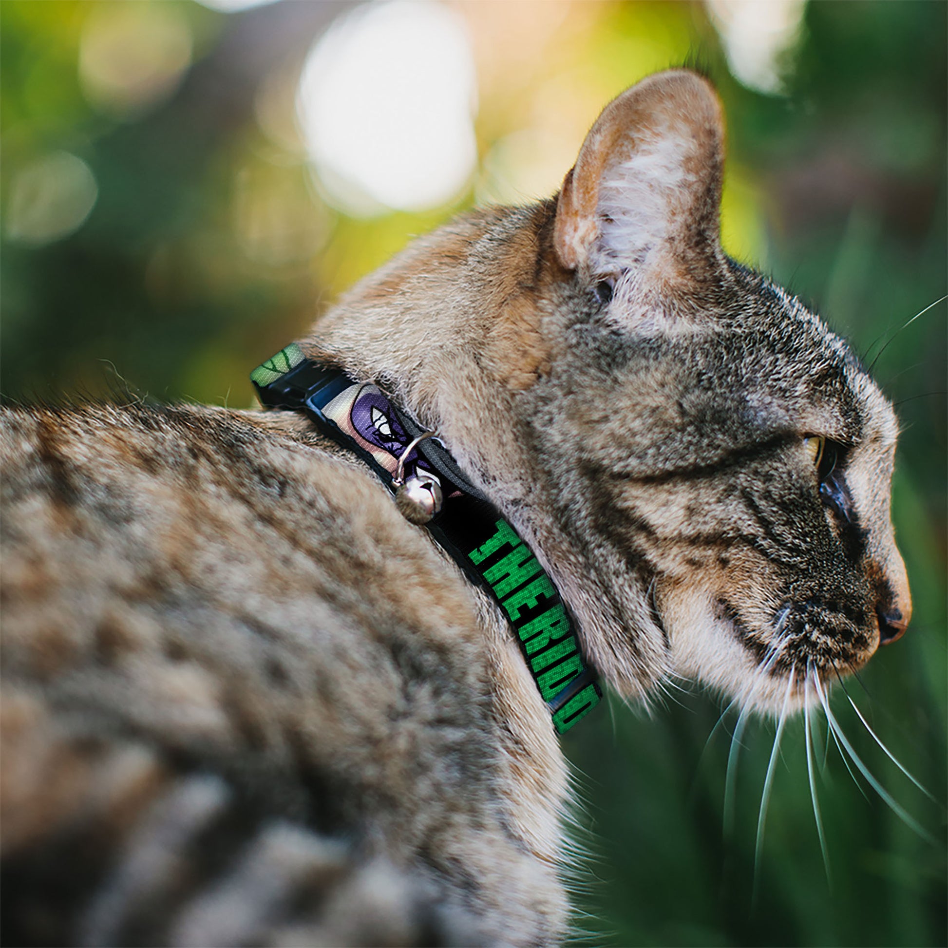 Cat Collar Breakaway - THE RIDDLER Face CLOSE-UP Black Green Breakaway Cat Collars DC Comics