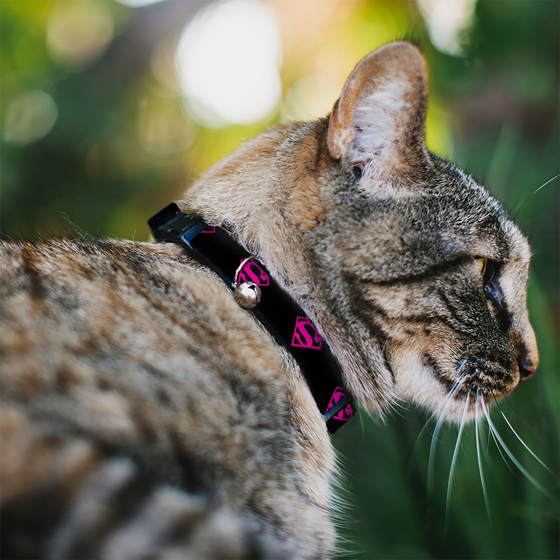 Cat Collar Breakaway - Superman Shield Black Hot Pink Breakaway Cat Collars DC Comics