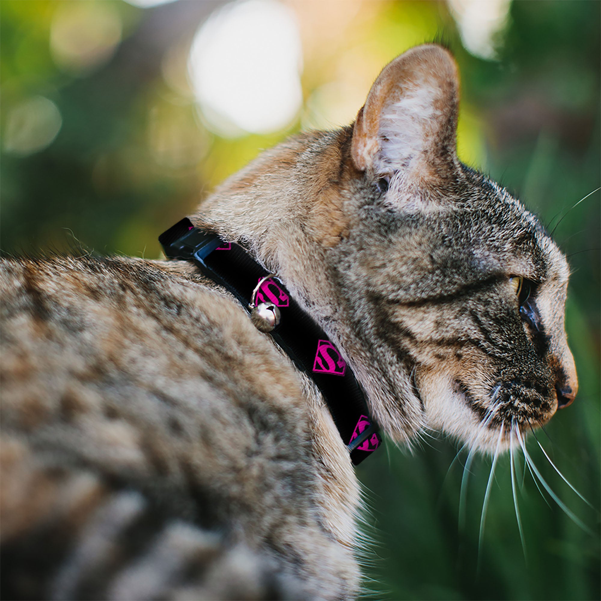 Cat Collar Breakaway - Superman Shield Black Hot Pink Breakaway Cat Collars DC Comics