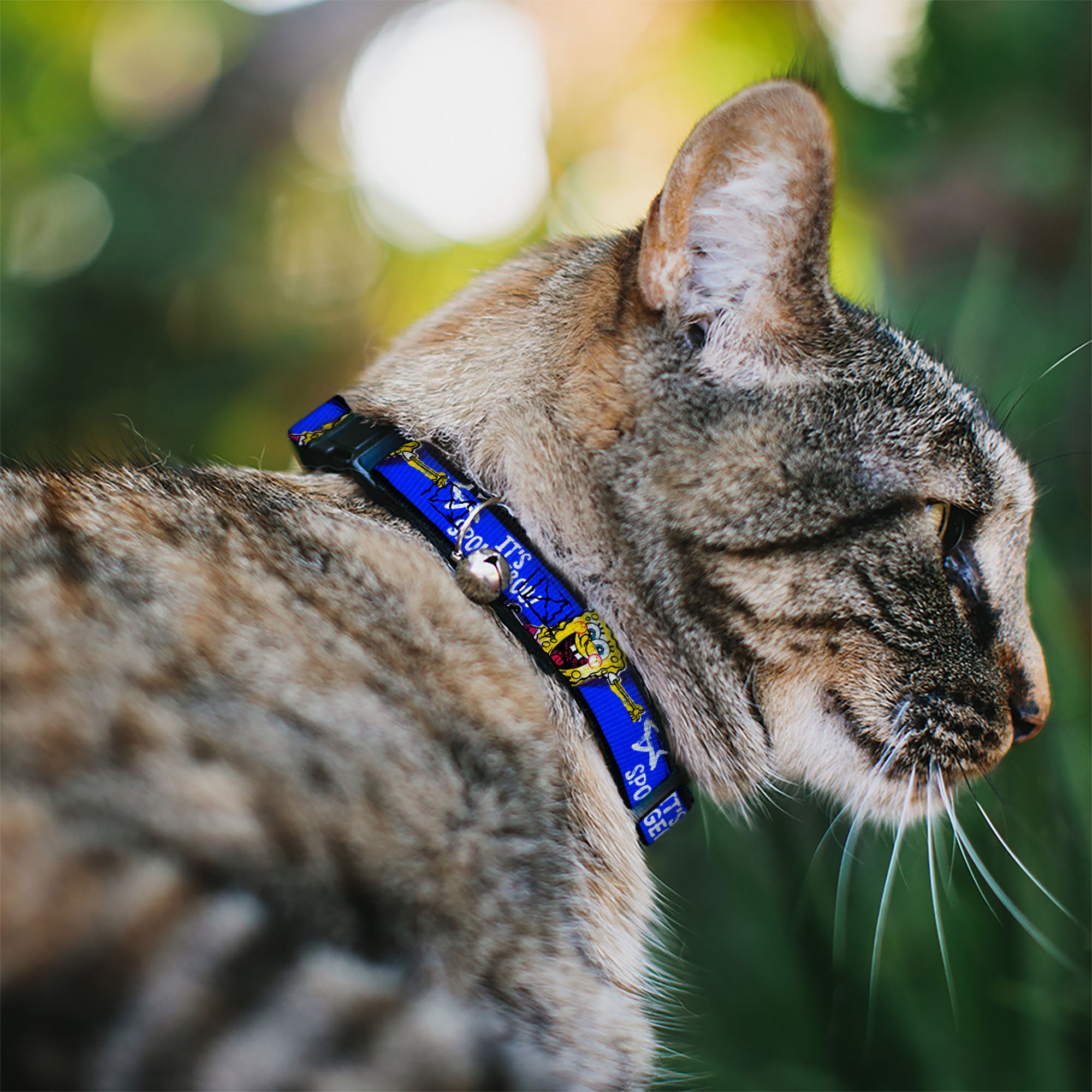Cat Collar Breakaway with Bell - SpongeBob Pose IT'S SPONGEBOB! Stripe Black Blue White Breakaway Cat Collars SpongeBob SquarePants