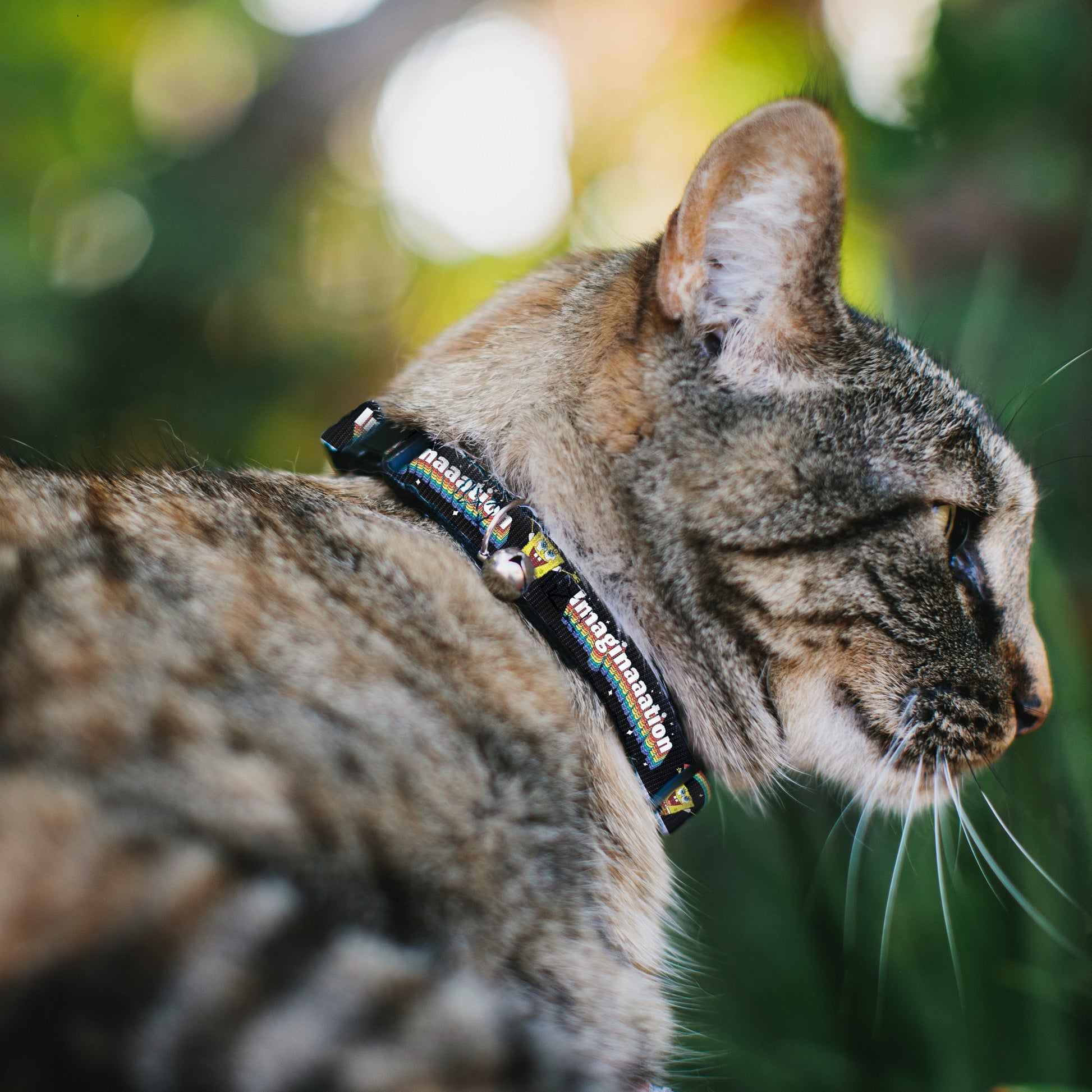 Cat Collar Breakaway with Bell - SpongeBob Arms Up Rainbow Pose IMAGINAAATION Black Multi Color Breakaway Cat Collars SpongeBob SquarePants