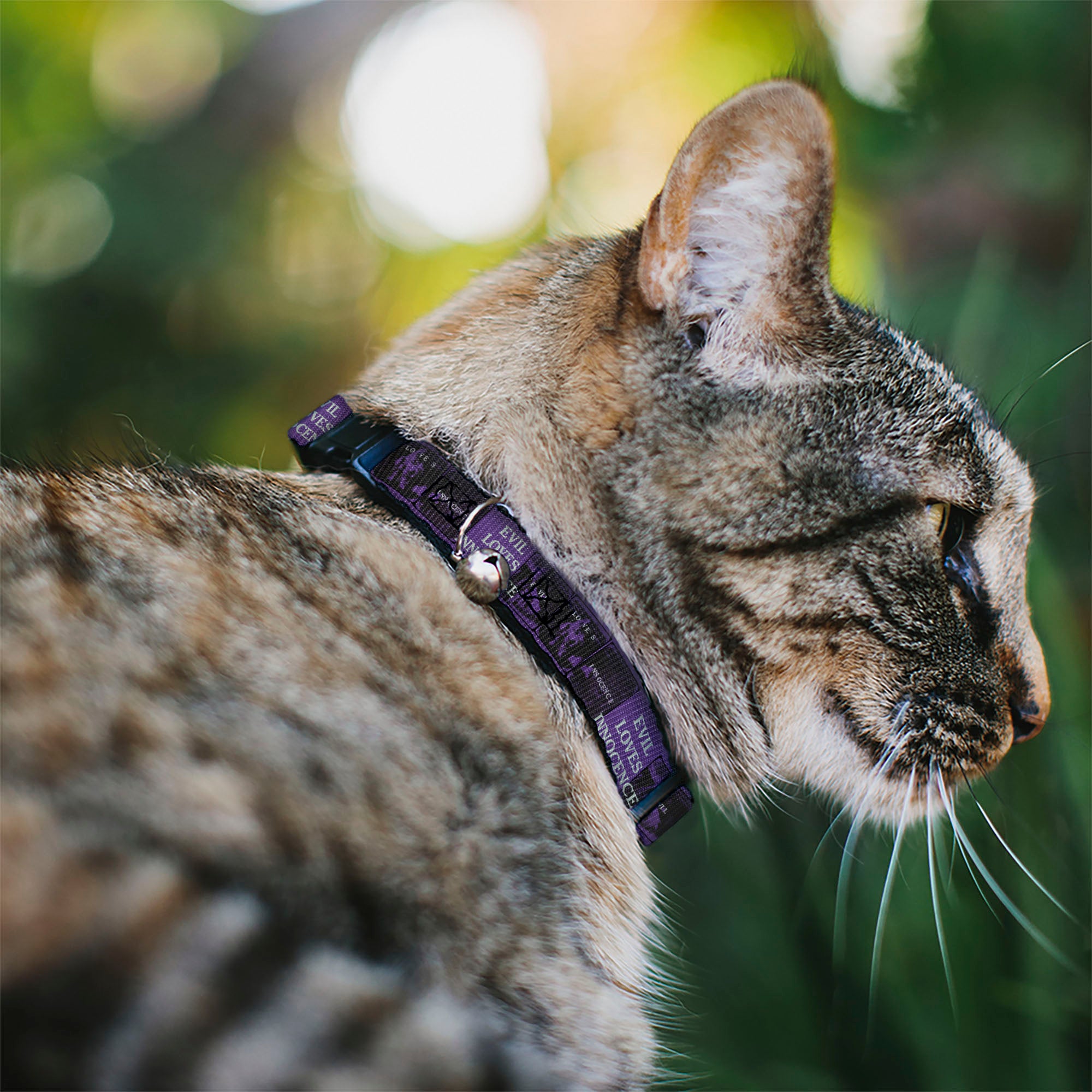 Breakaway Cat Collar with Bell - The Conjuring EVIL LOVES INNOCENCE Pose Blocks Purple/Black Breakaway Cat Collars The Conjuring