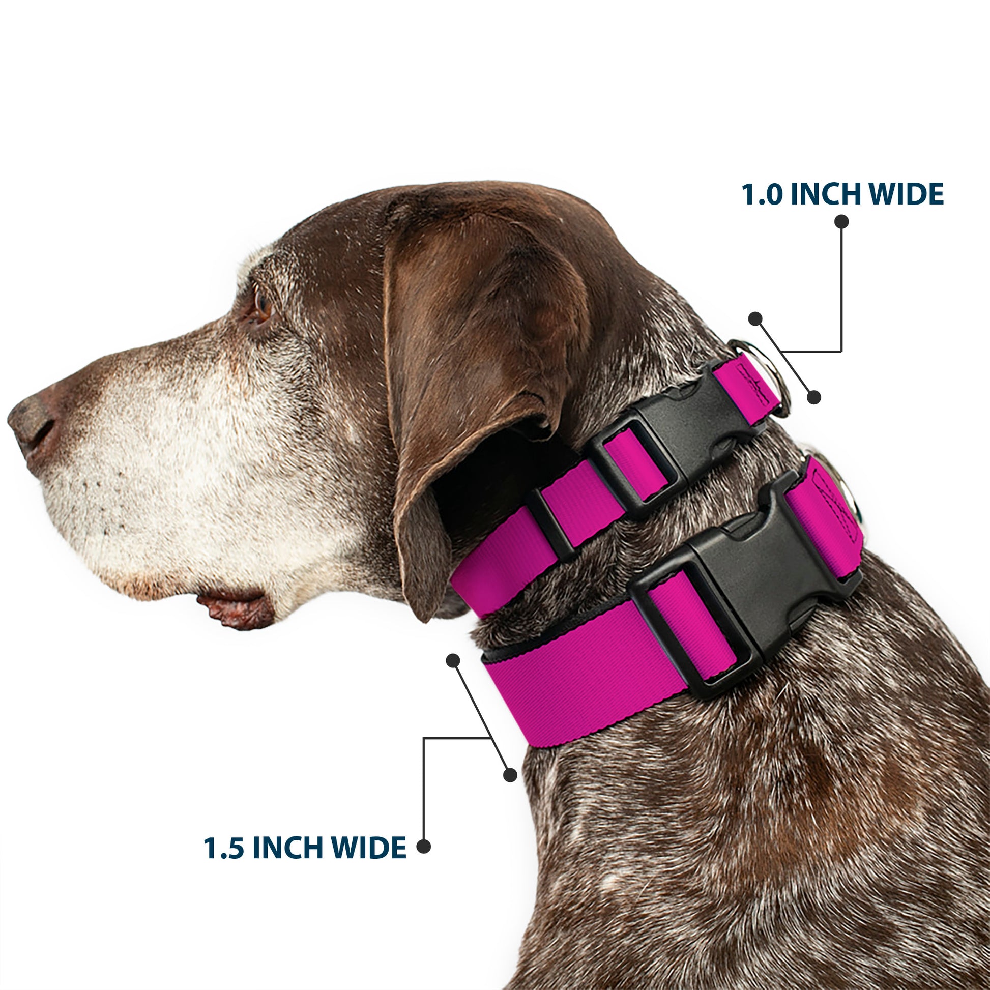 Plastic Clip Collar - Fuchsia Plastic Clip Collars Buckle-Down
