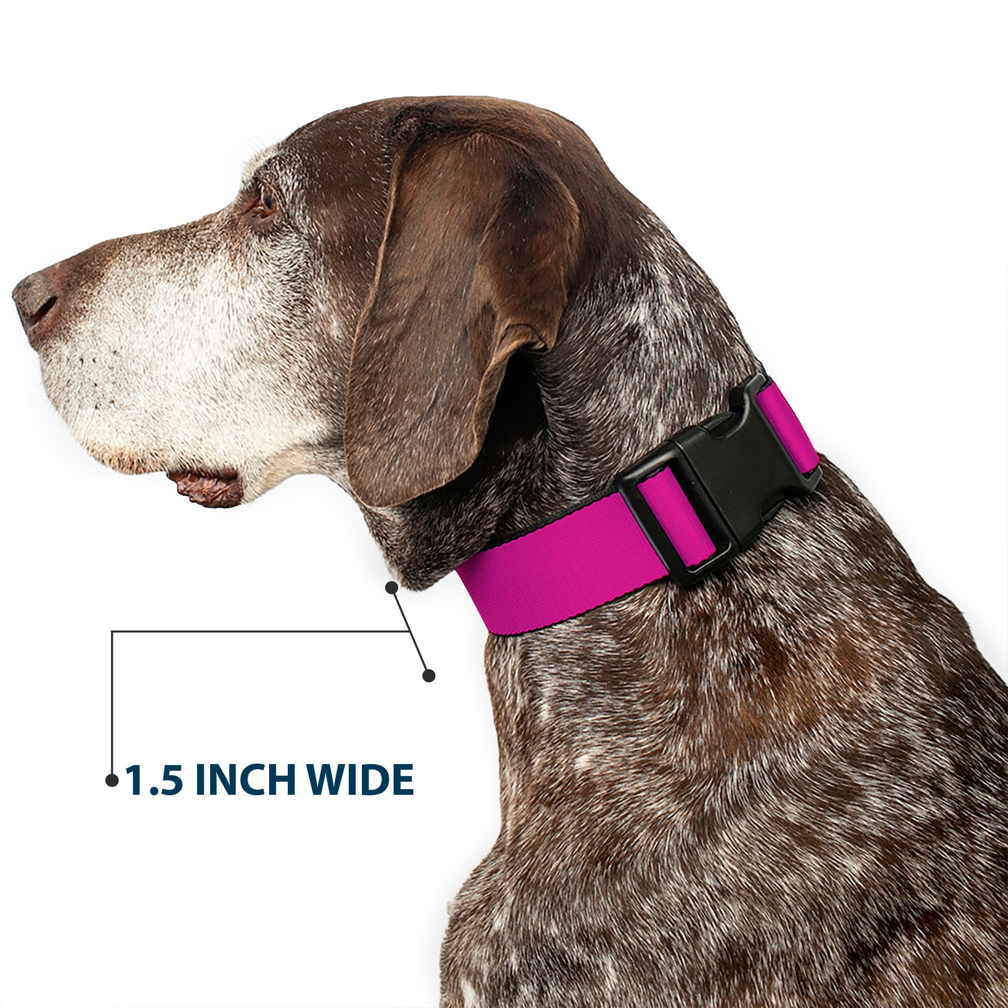 Plastic Clip Collar - Fuchsia Plastic Clip Collars Buckle-Down