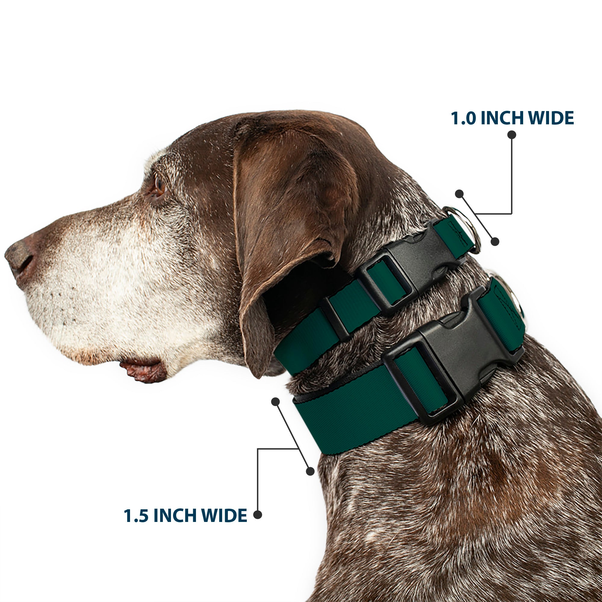Plastic Clip Collar - Hunter Plastic Clip Collars Buckle-Down