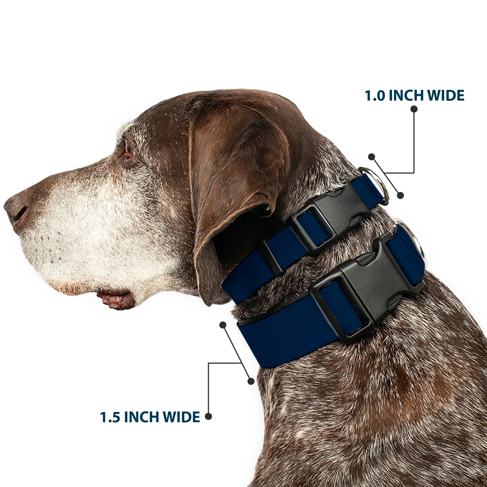 Plastic Clip Collar - Navy Plastic Clip Collars Buckle-Down