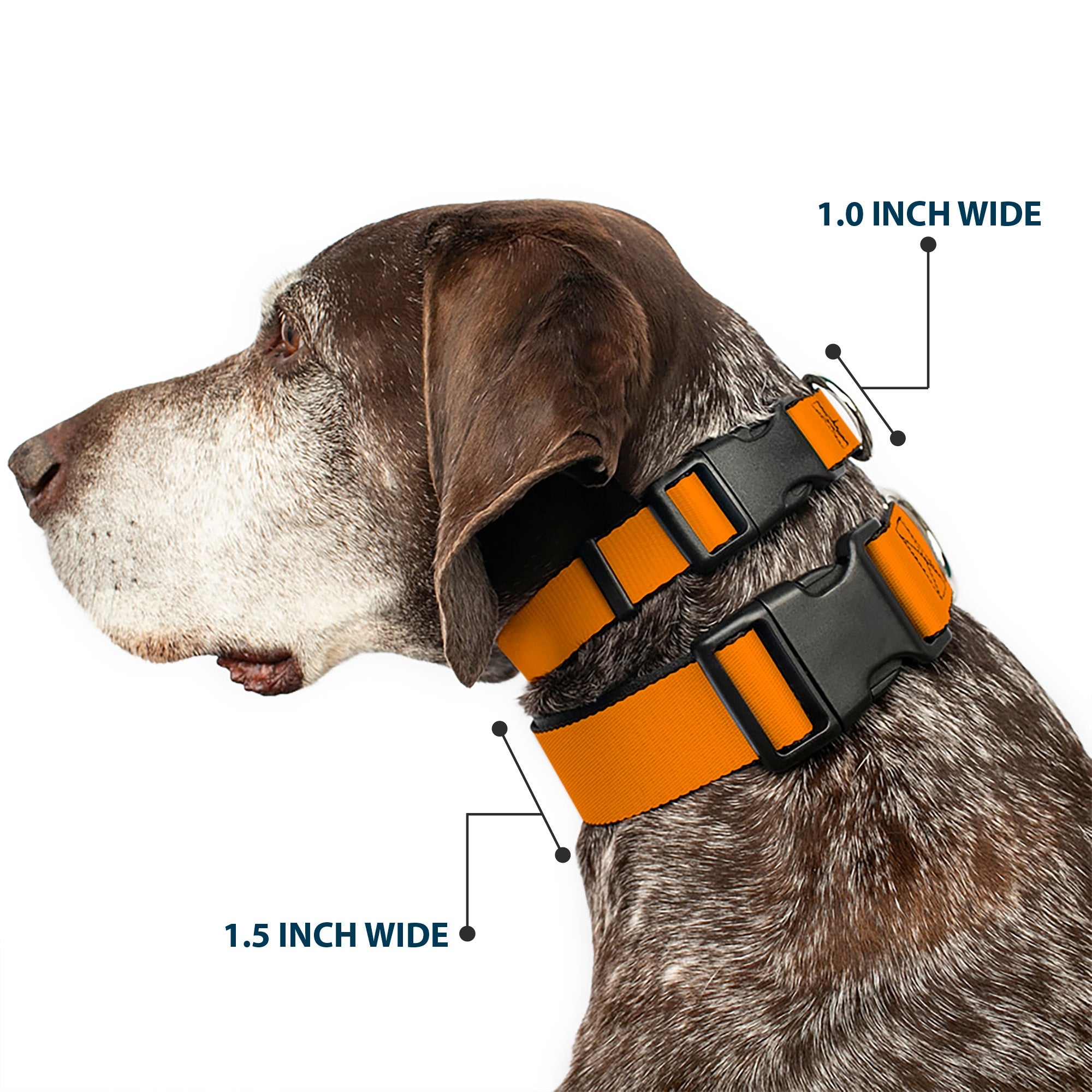 Plastic Clip Collar - Orange Plastic Clip Collars Buckle-Down
