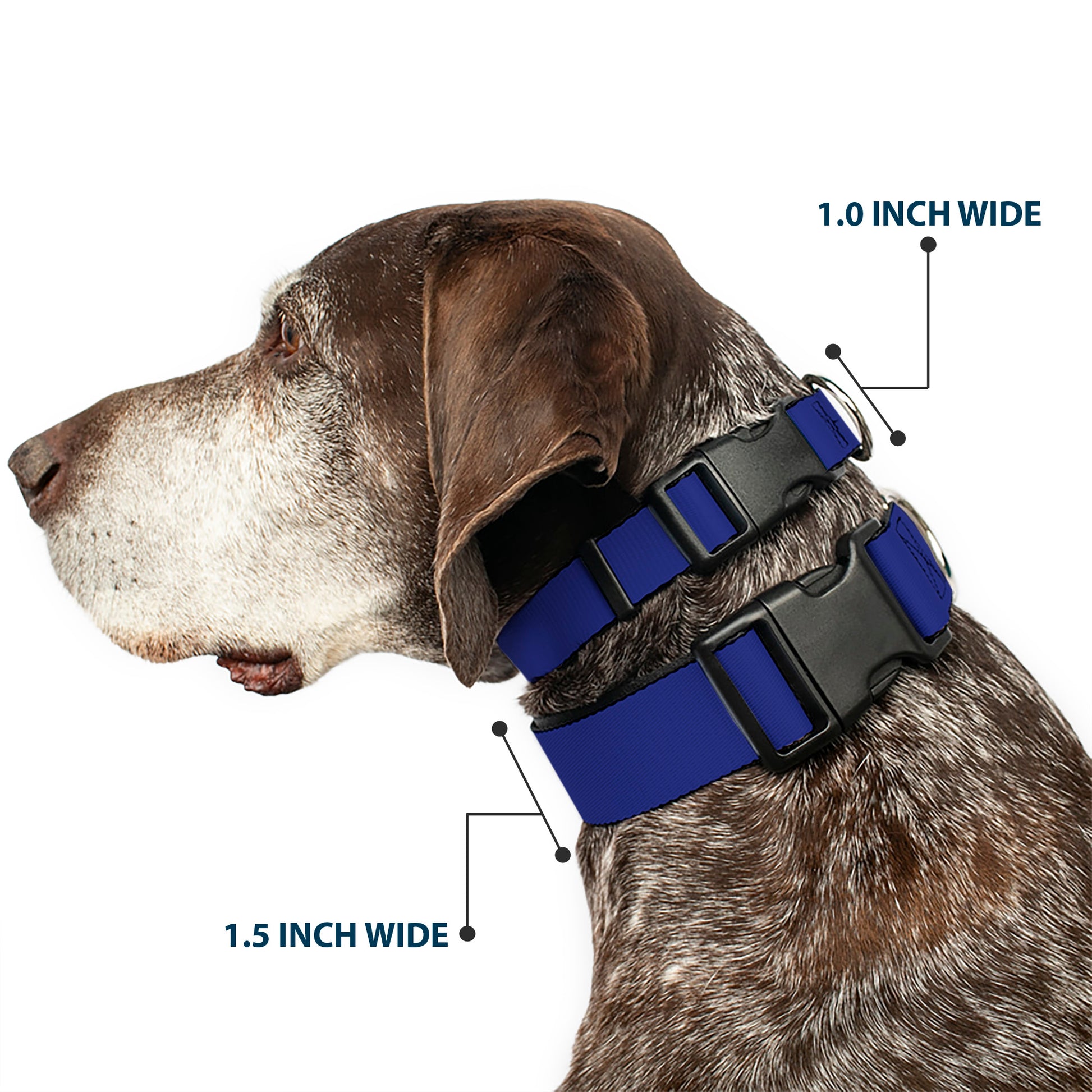 Plastic Clip Collar - Royal Plastic Clip Collars Buckle-Down