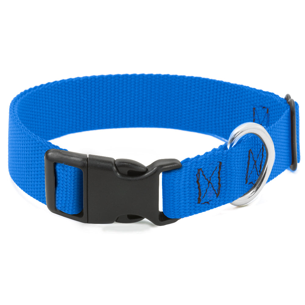 Plastic Clip Collar - Royal Nylon Plastic Clip Collars Buckle-Down