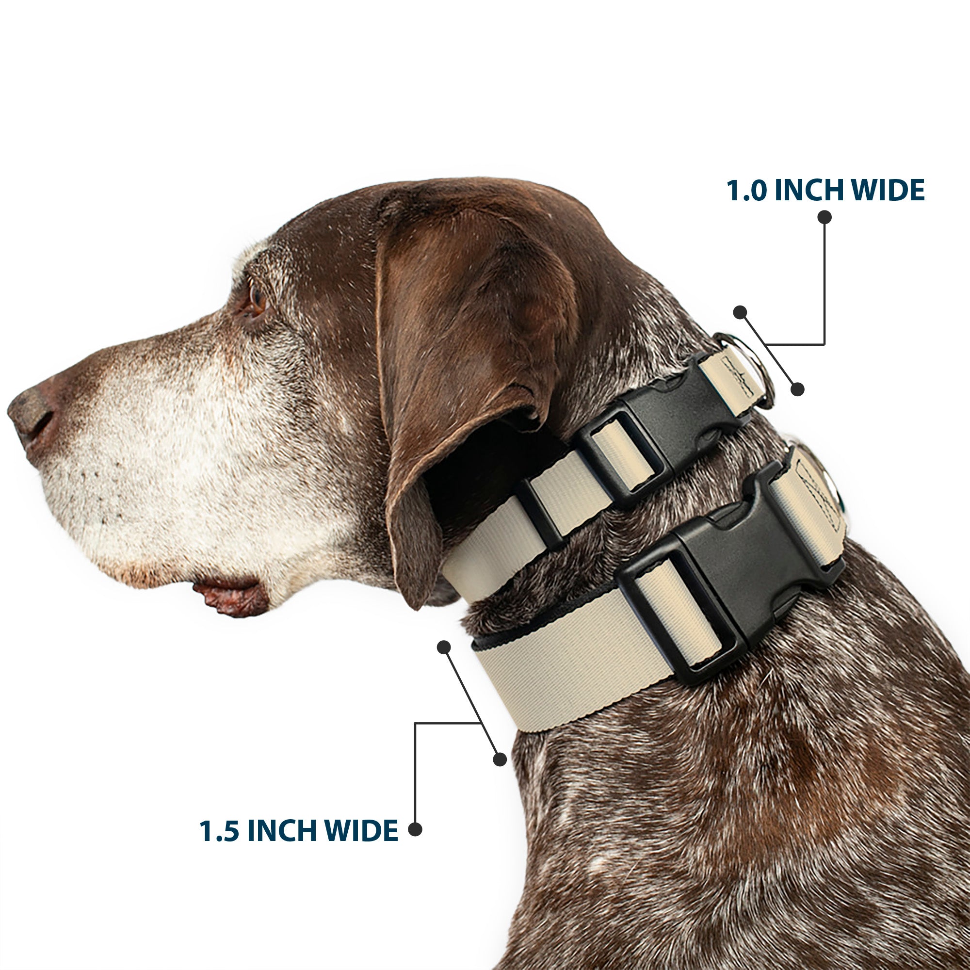 Plastic Clip Collar - Tan Plastic Clip Collars Buckle-Down