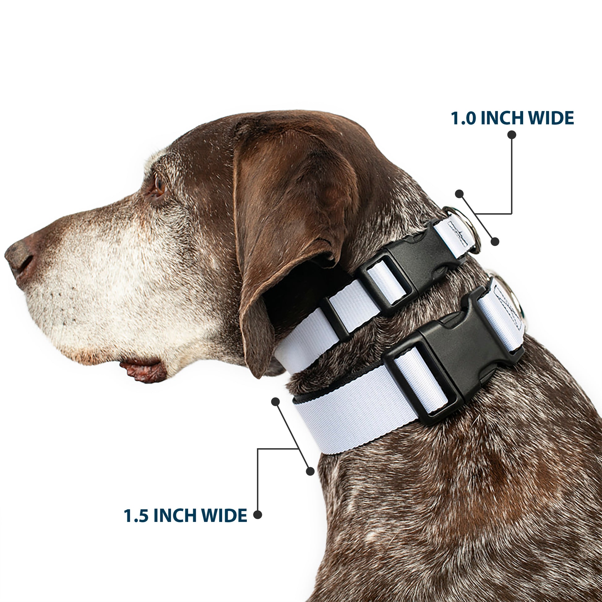 Plastic Clip Collar - White Plastic Clip Collars Buckle-Down