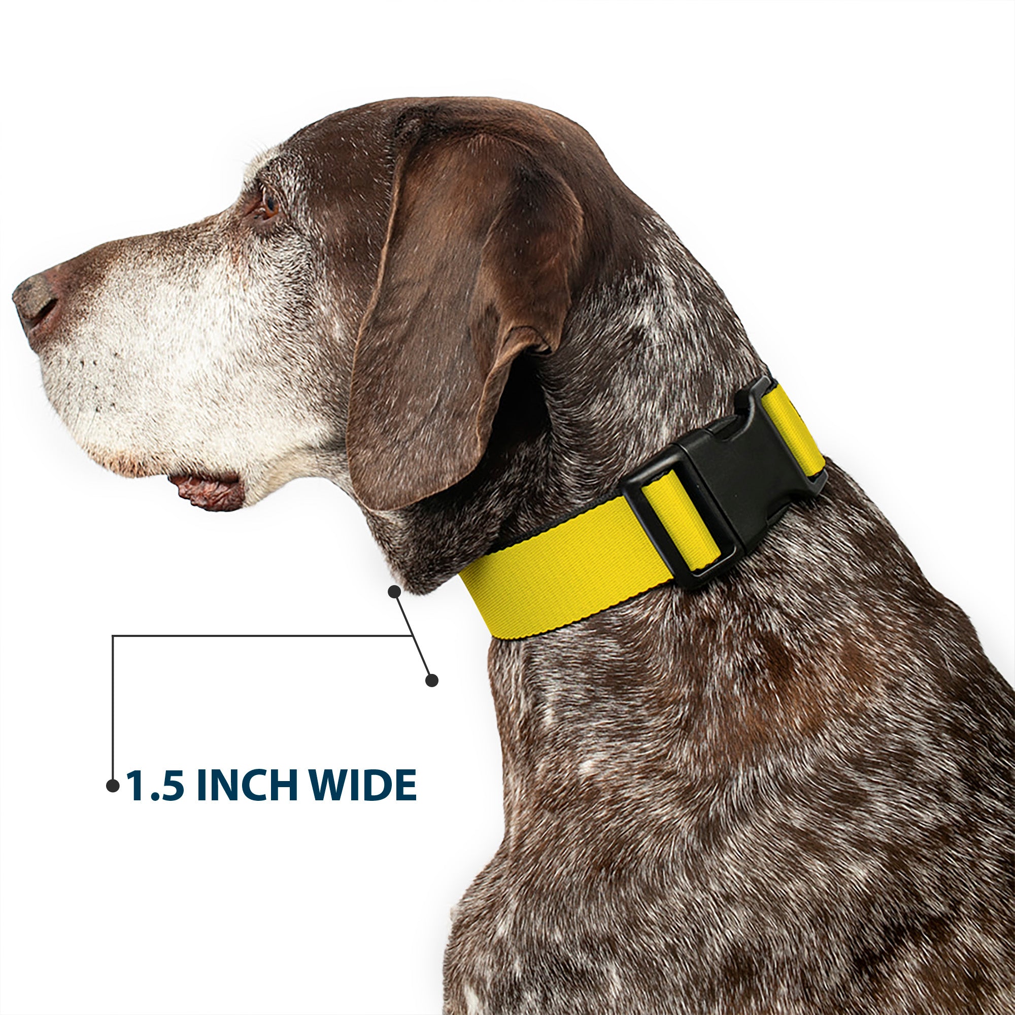 Plastic Clip Collar - Yellow Plastic Clip Collars Buckle-Down