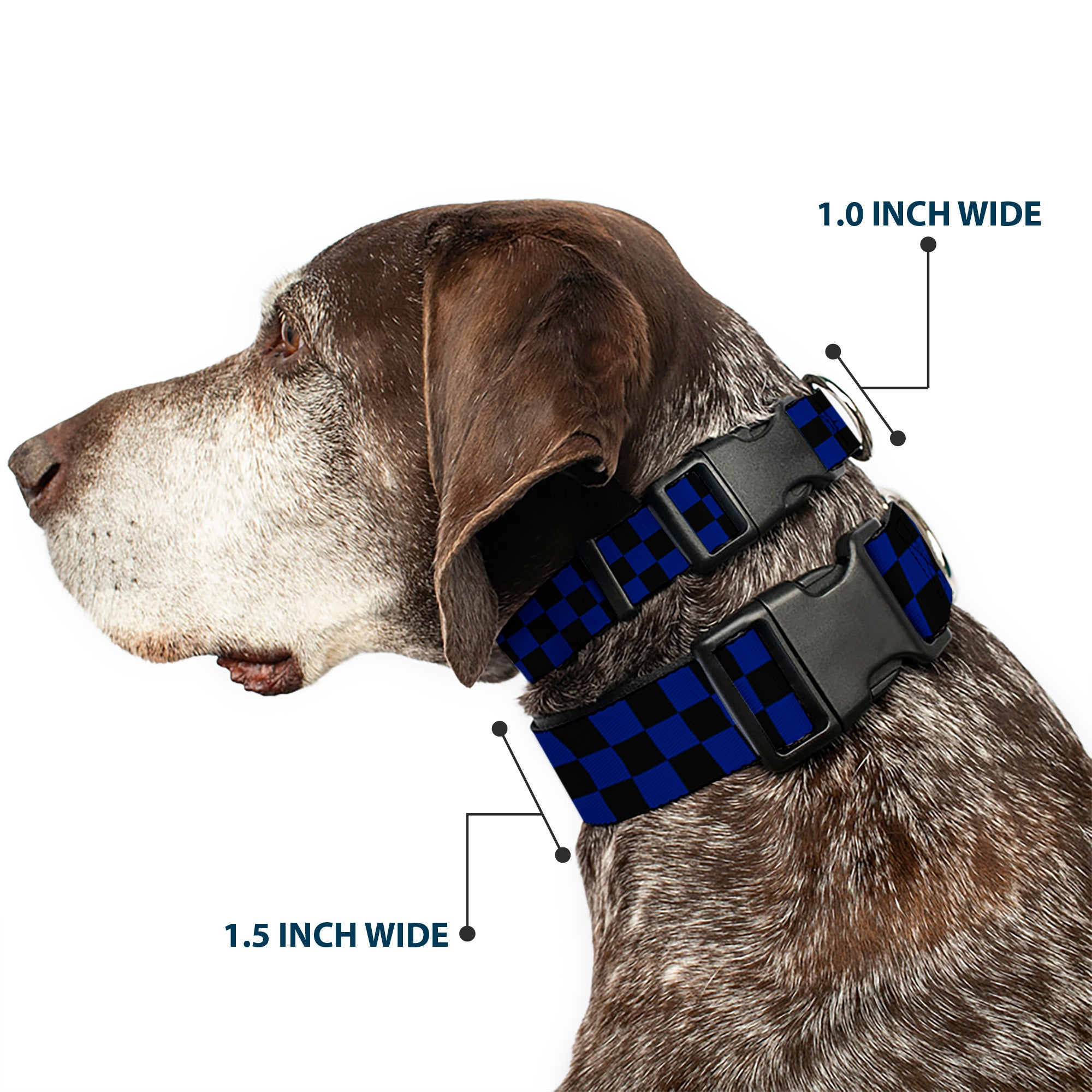 Plastic Clip Collar - Checker Black/Blue Plastic Clip Collars Buckle-Down