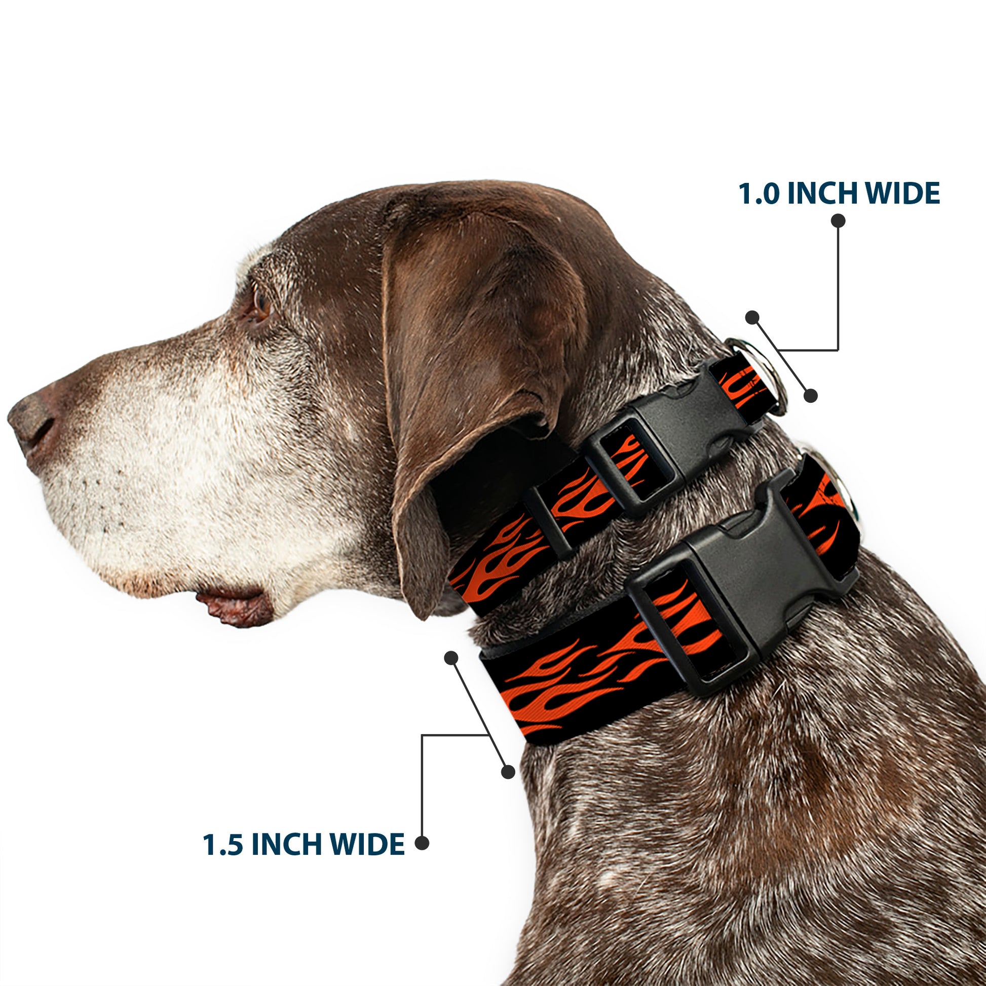 Plastic Clip Collar - Flame Orange Plastic Clip Collars Buckle-Down