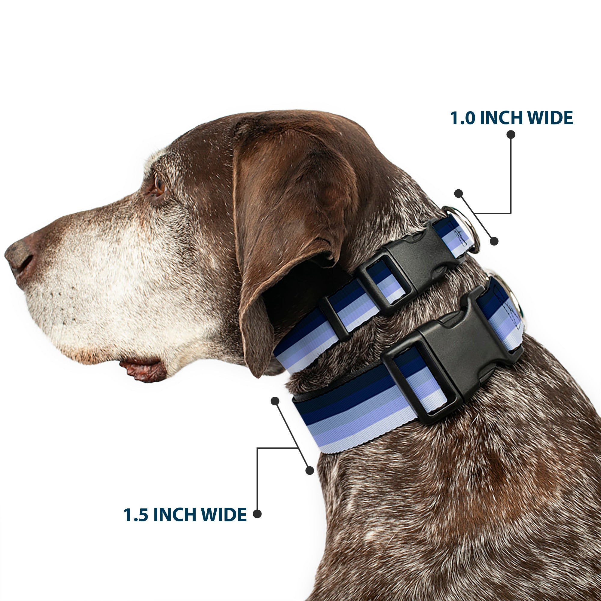 Plastic Clip Collar - Spectrum Blue Plastic Clip Collars Buckle-Down