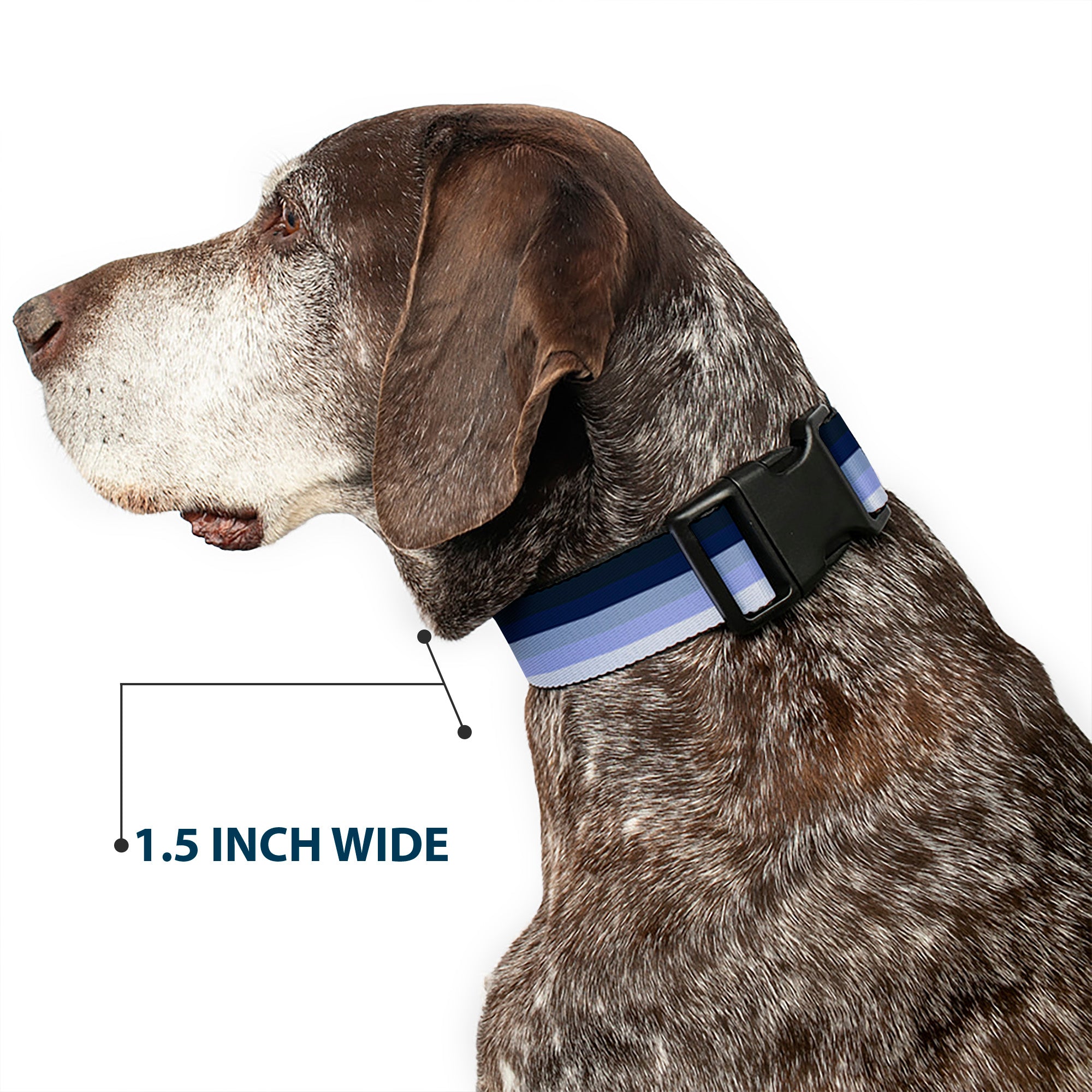 Plastic Clip Collar - Spectrum Blue Plastic Clip Collars Buckle-Down