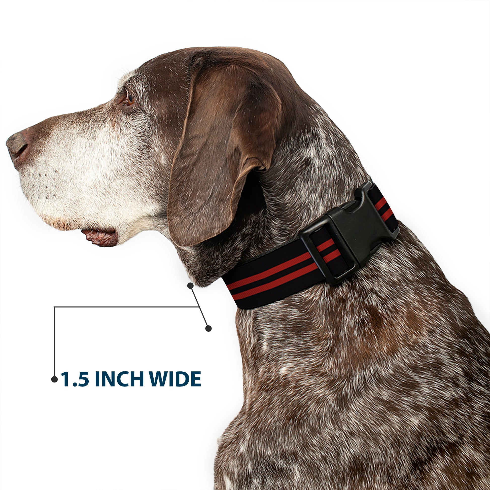 Plastic Clip Collar - Stripe Black/Red Plastic Clip Collars Buckle-Down