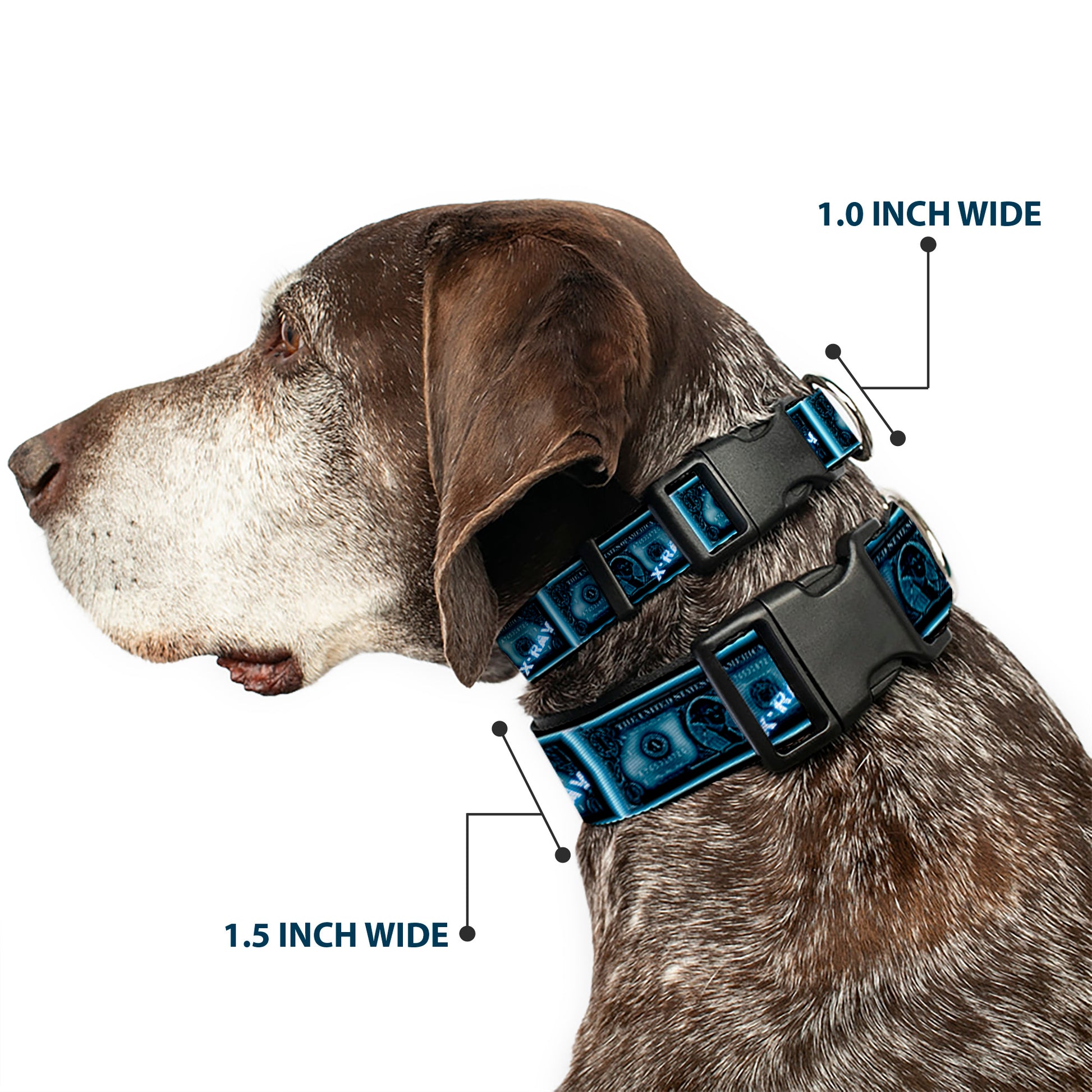 Plastic Clip Collar - $1 Bill X-Ray Plastic Clip Collars Buckle-Down