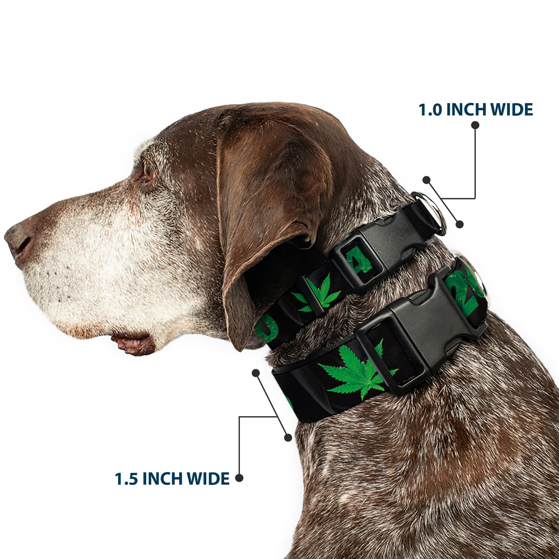 Buckle-Down Plastic Buckle Dog Collar - 420/Pot Leaf Black/Smoke/Green Plastic Clip Collars Buckle-Down