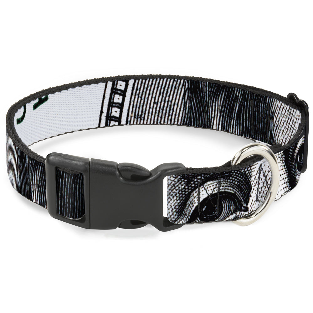 Plastic Clip Collar - 100 Dollar Bill CLOSE-UP White/Black Plastic Clip Collars Buckle-Down