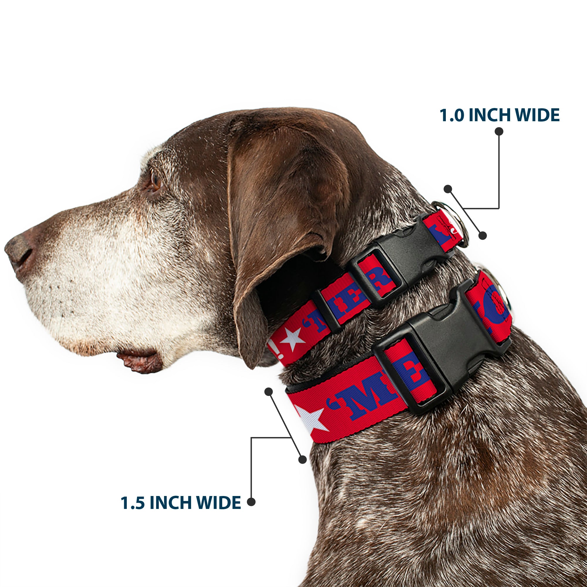 Plastic Clip Collar - 'MERICA FUCK YEAH!/Star Red/Blue/White Plastic Clip Collars Buckle-Down