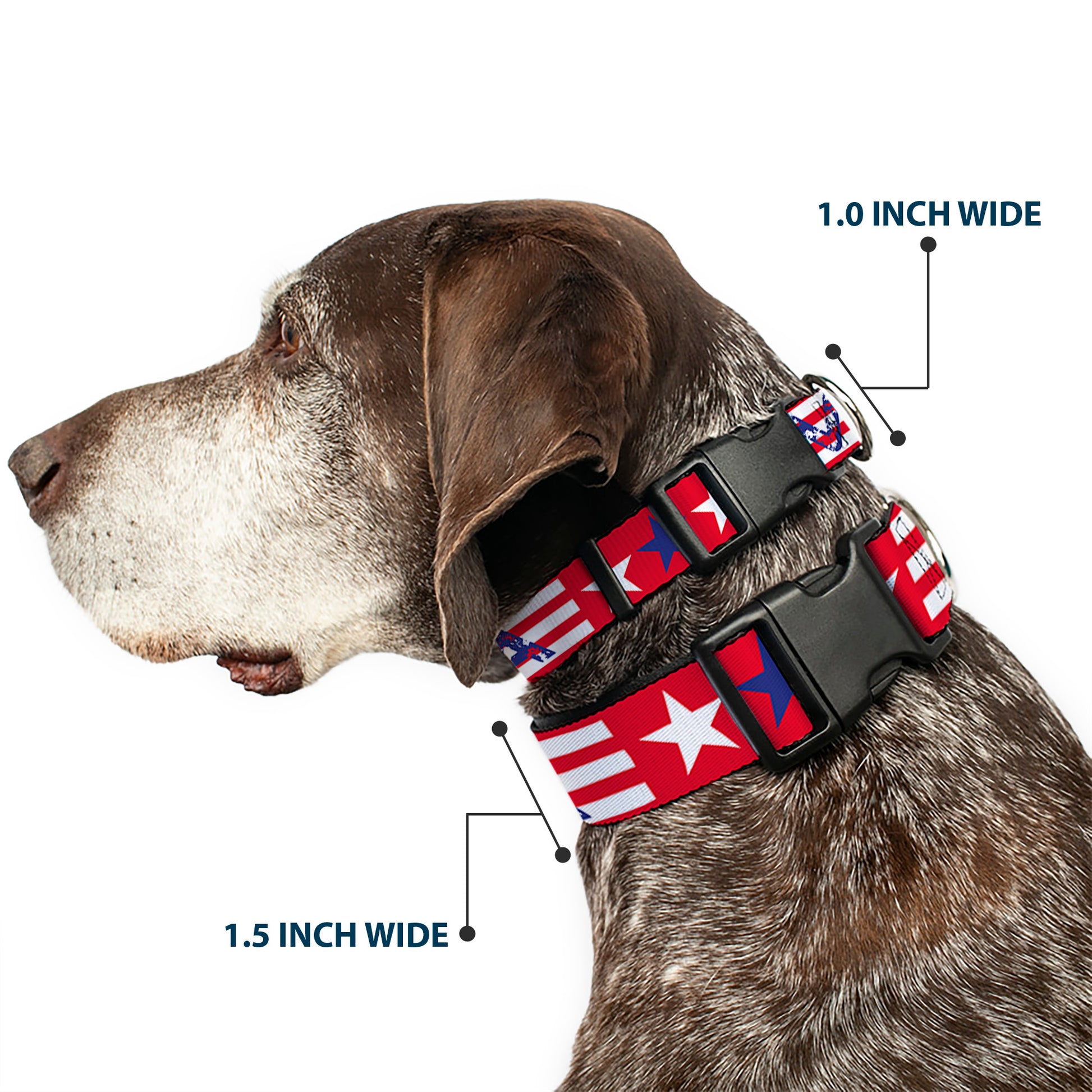 Plastic Clip Collar - 'MERICA Stripes/Stars Red/White/Blue Plastic Clip Collars Buckle-Down