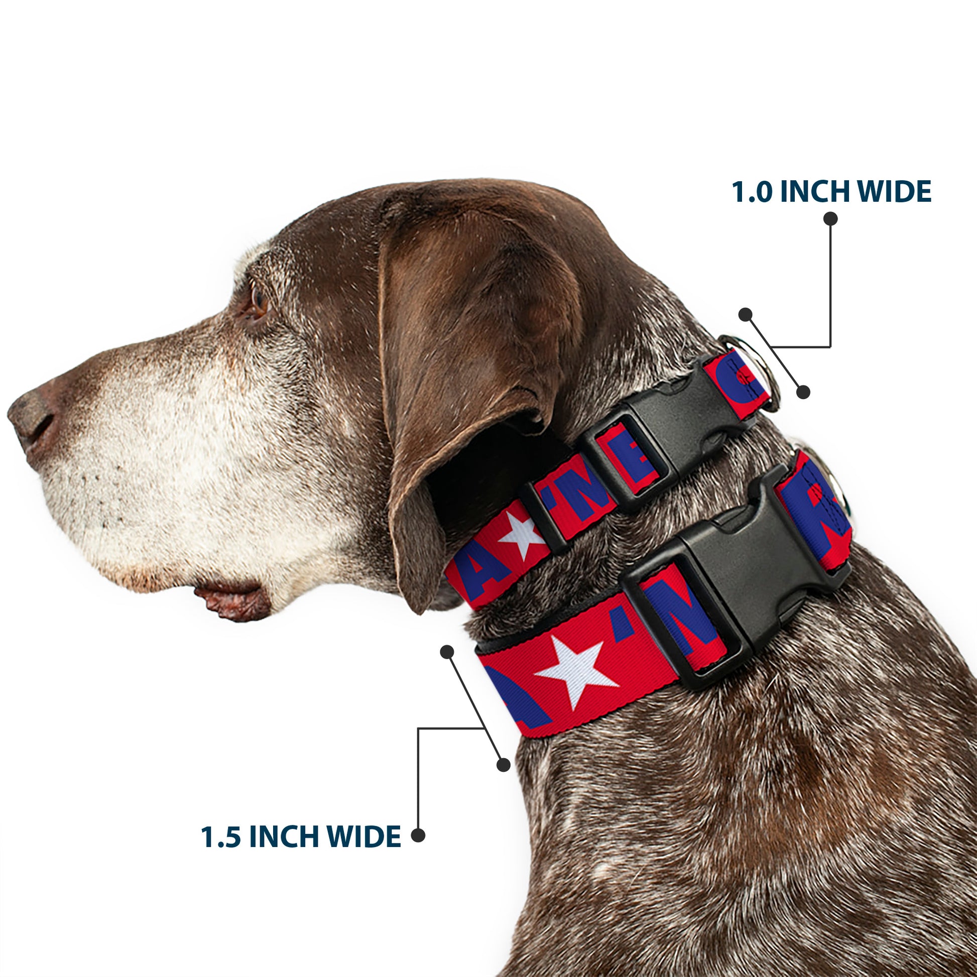 Plastic Clip Collar - 'MERICA/Star Red/Blue/White Plastic Clip Collars Buckle-Down