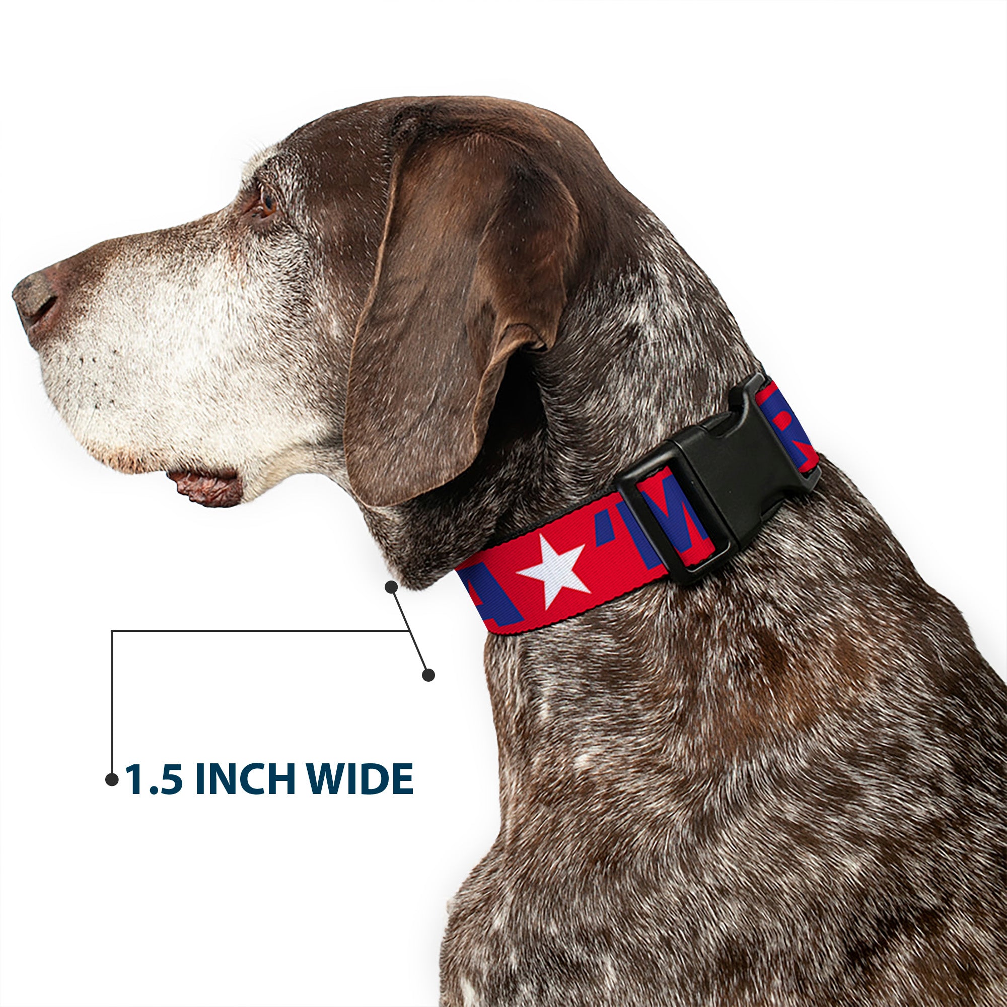 Plastic Clip Collar - 'MERICA/Star Red/Blue/White Plastic Clip Collars Buckle-Down
