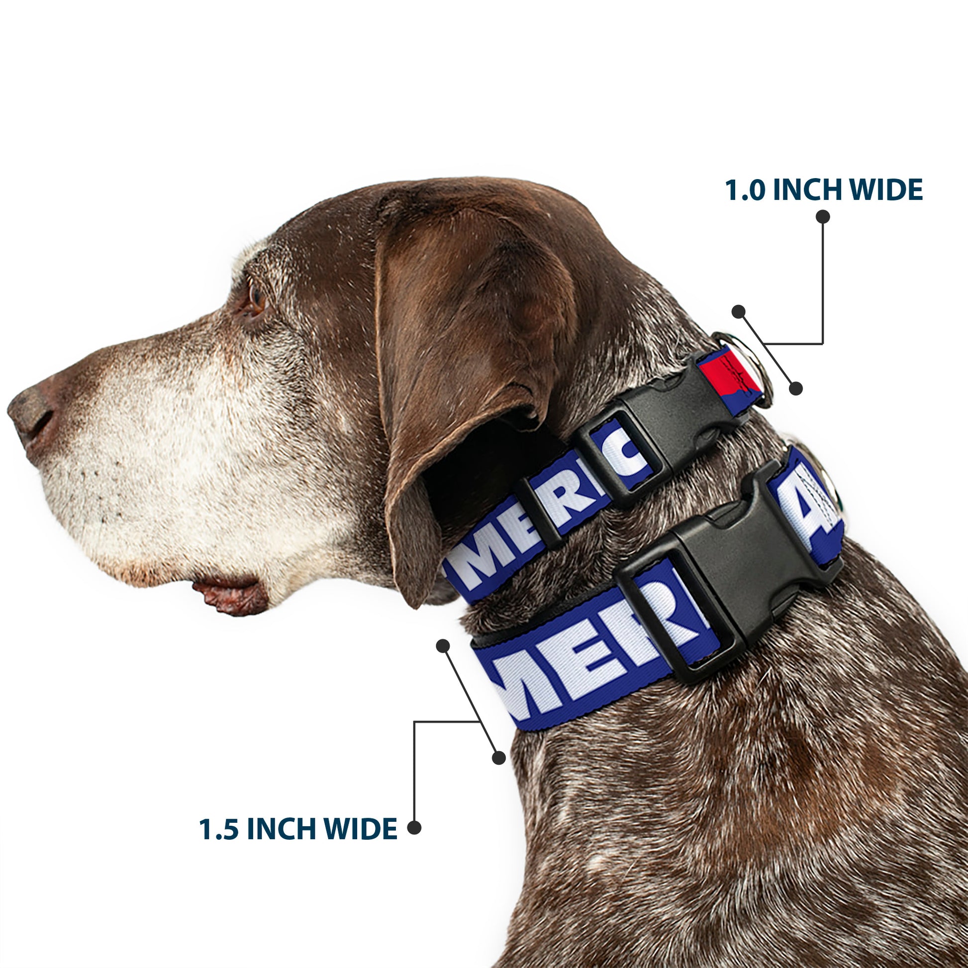 Plastic Clip Collar - 'MERICA/USA Silhouette Blue/White/Red Plastic Clip Collars Buckle-Down